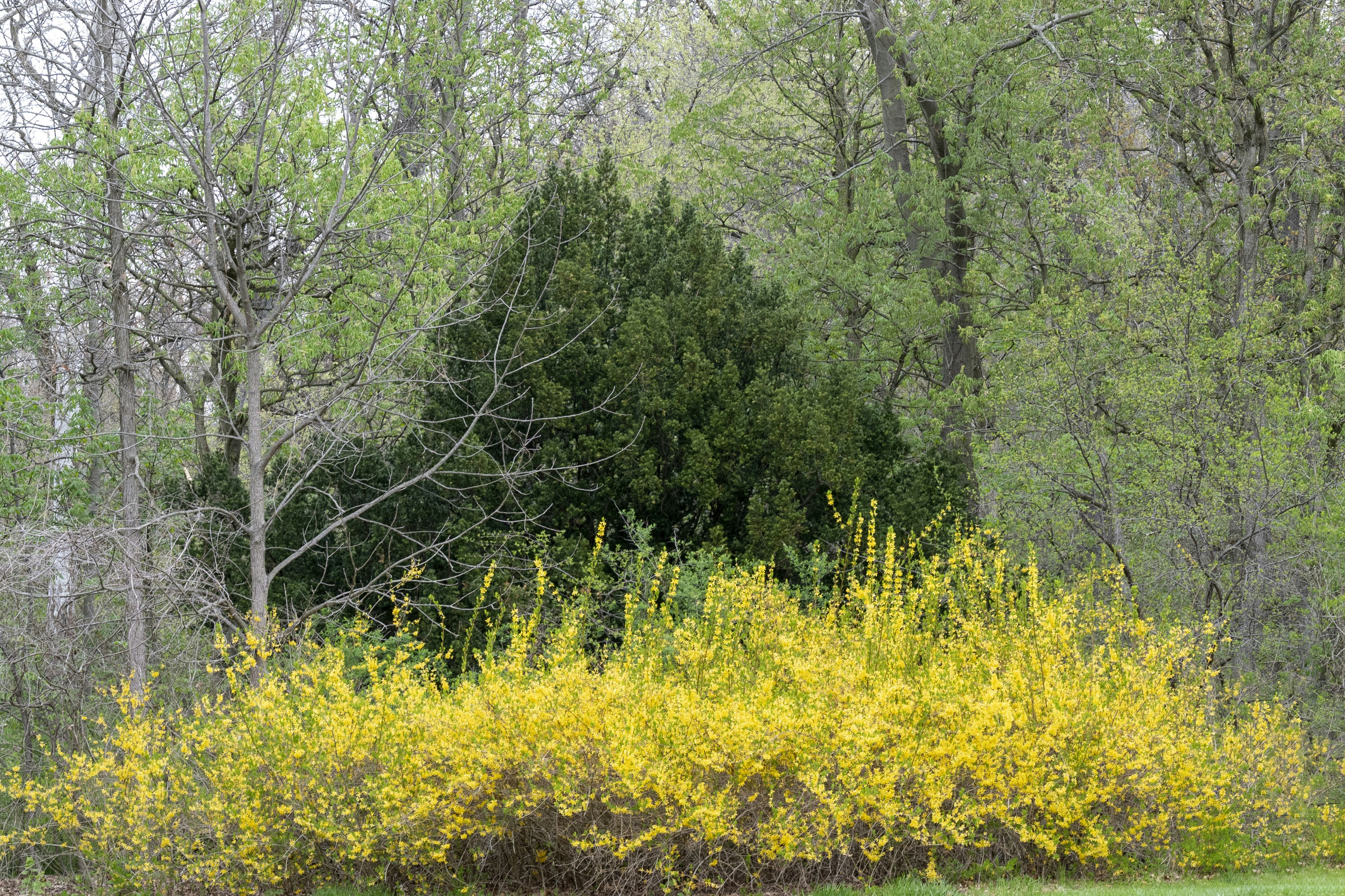 Photo by cholewinski