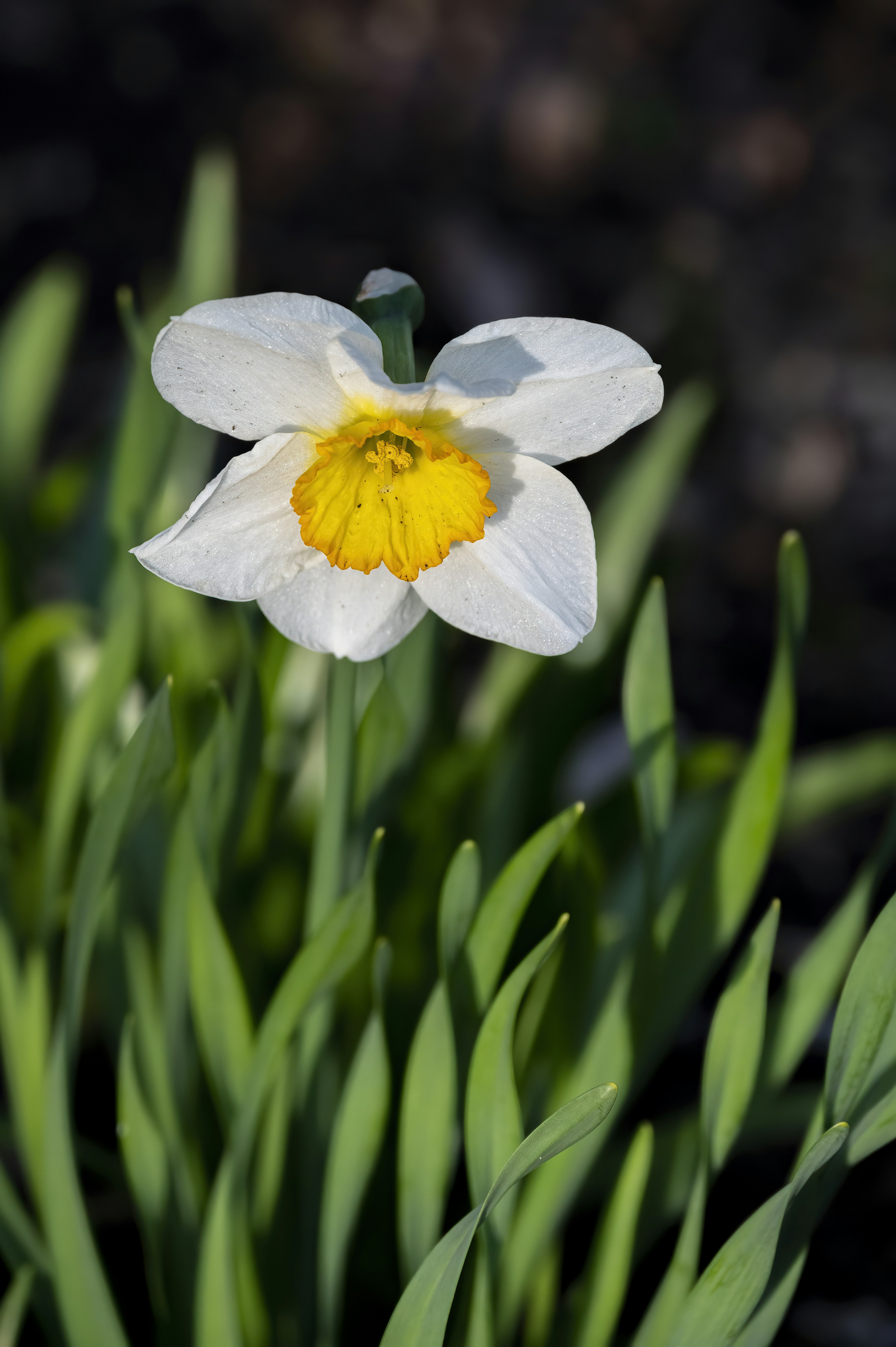 Photo by cholewinski