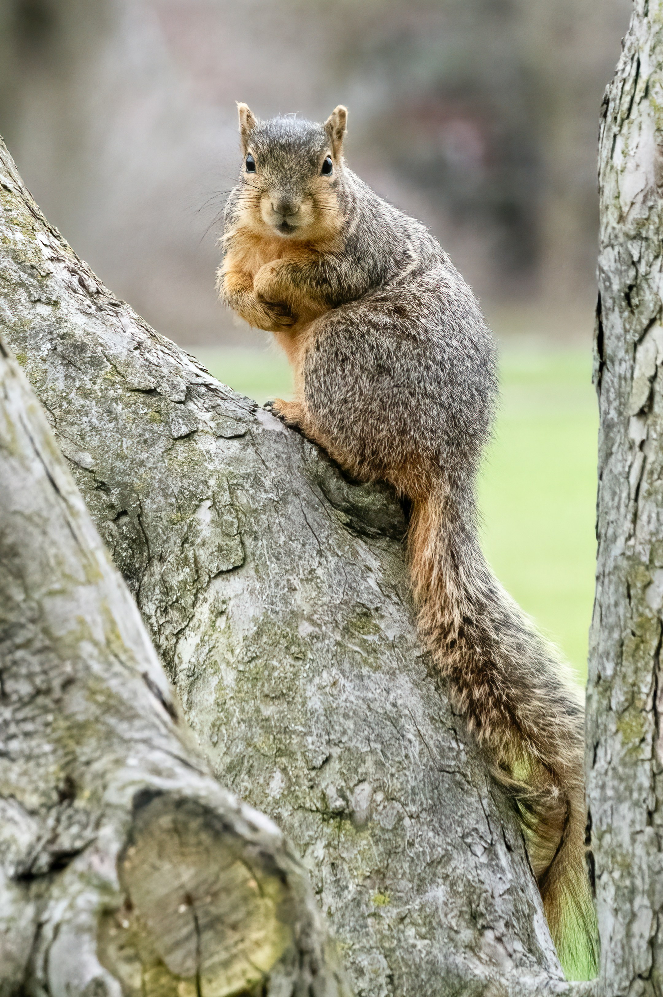 Photo by cholewinski