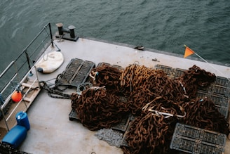 Root Cause Analysis & Causation