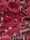 Several rolled-up red carpets are stacked closely together. The edges of the carpets fray slightly, and the rolls are tightly wound, showcasing different patterns and layers within the rolls.