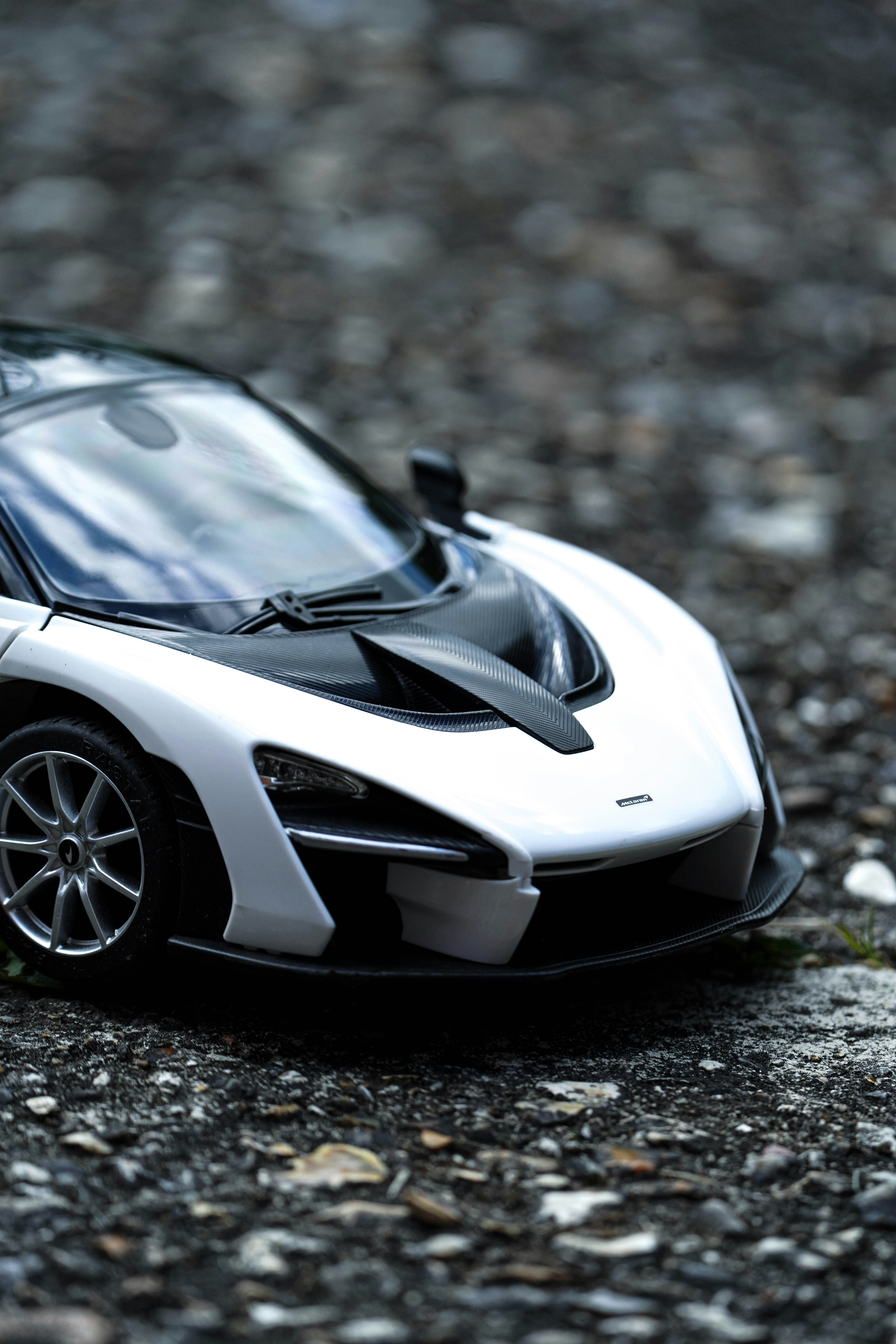 Photo by liamcharmer