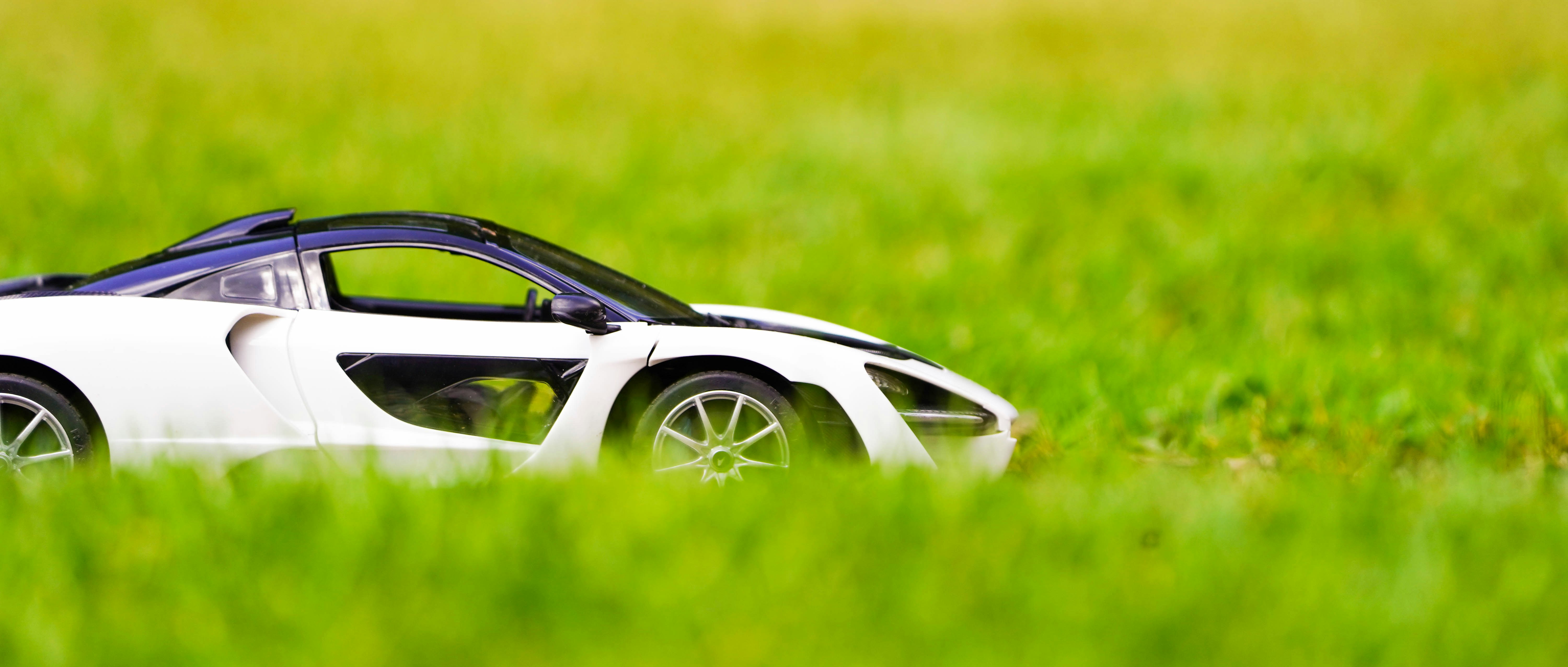 Photo by liamcharmer