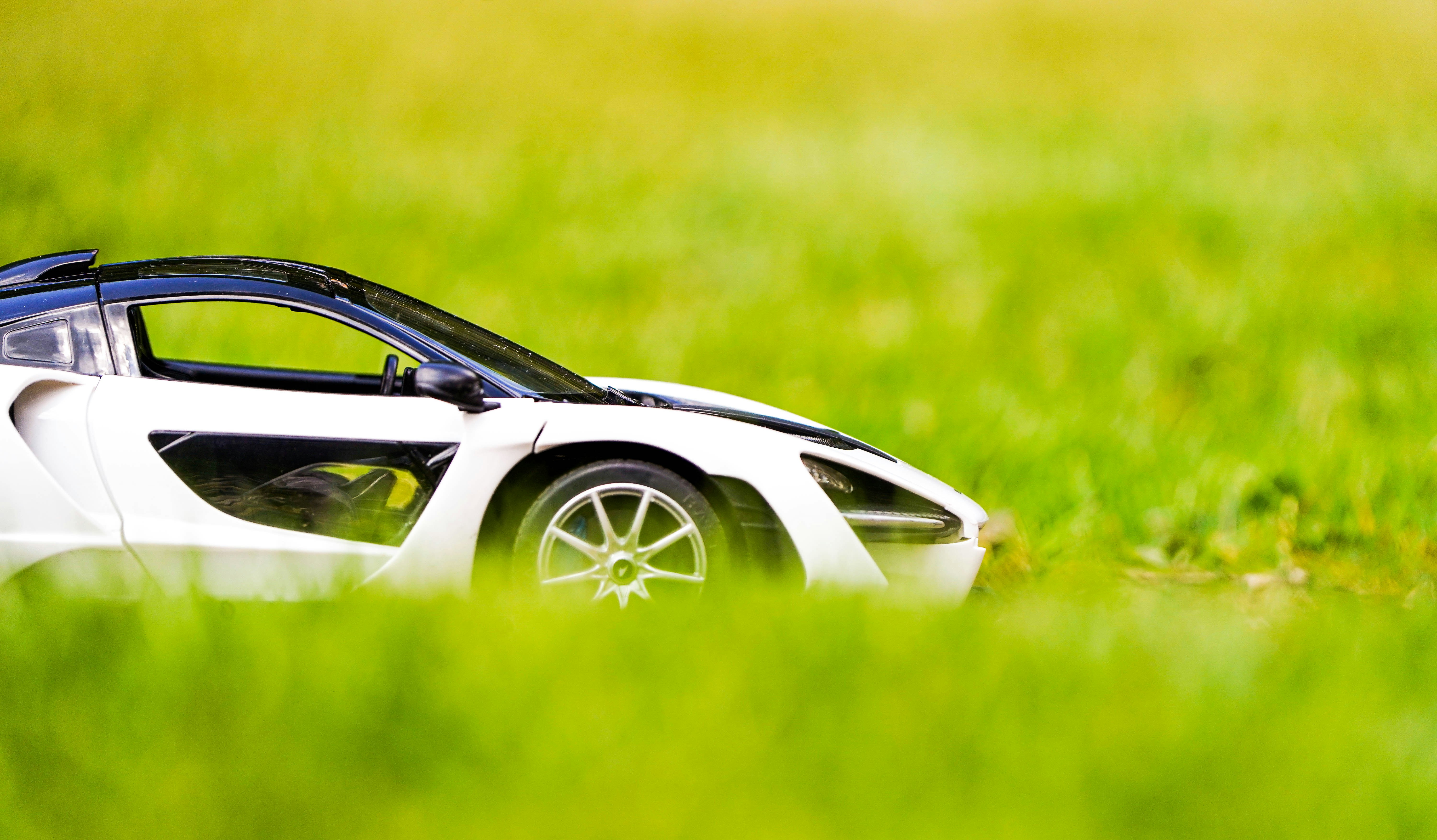 Photo by liamcharmer