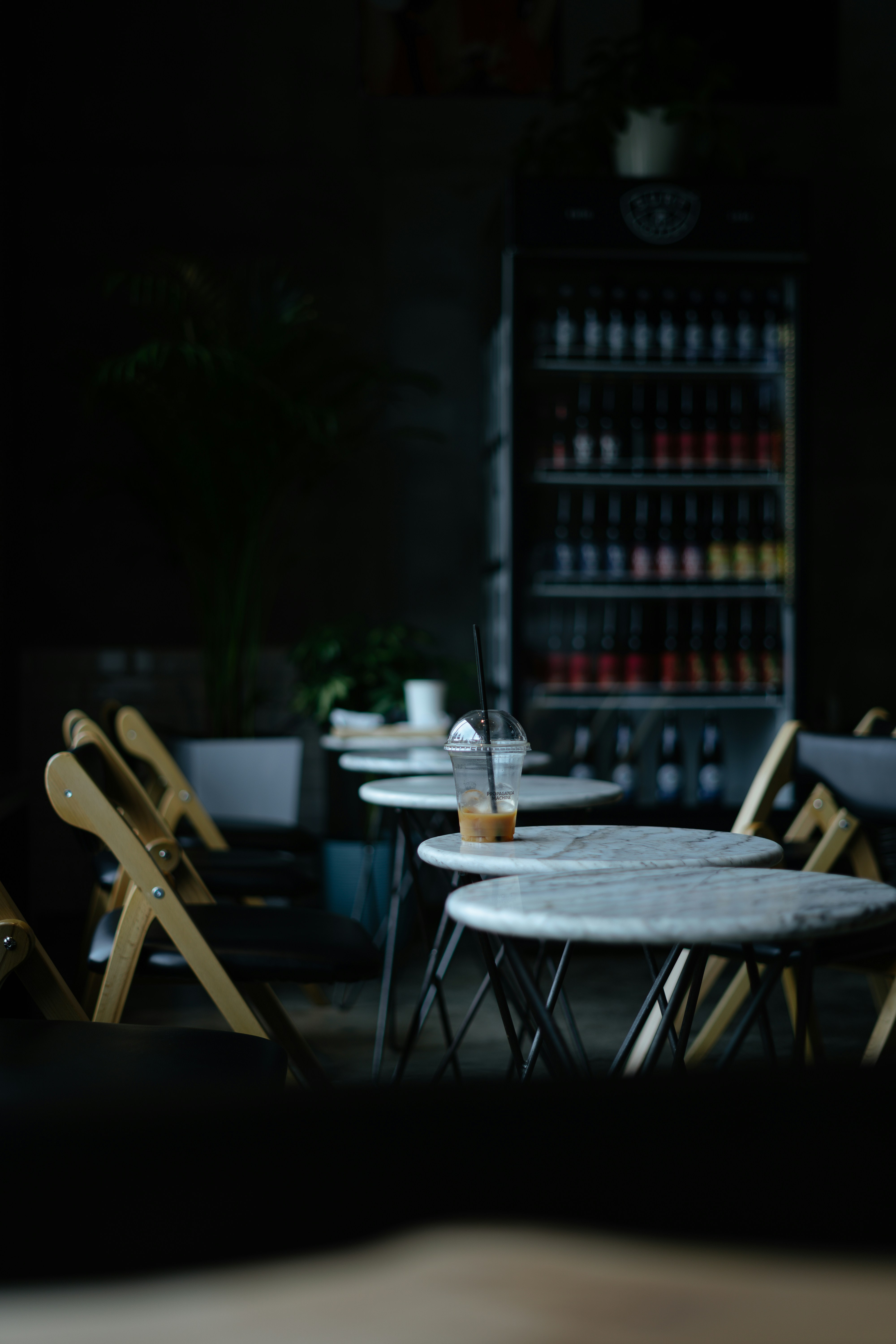 Photo by albina___white