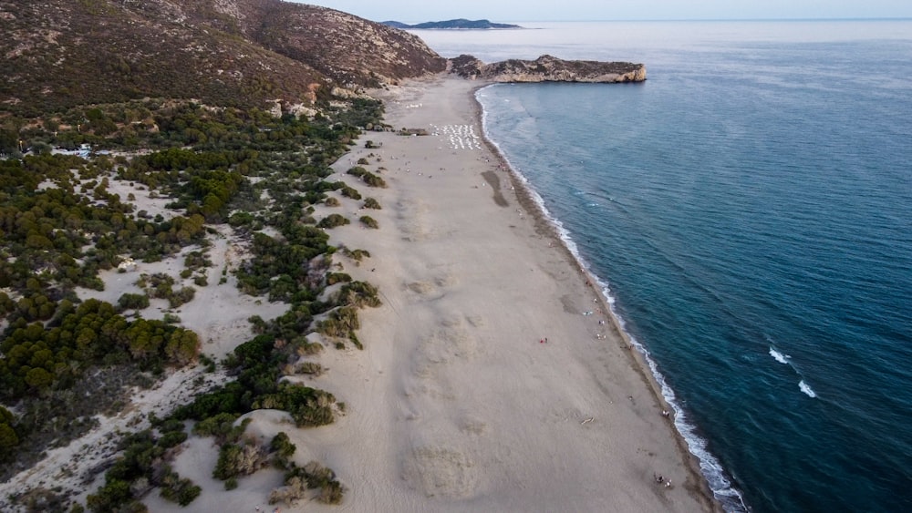 a beach with a sandy beach and trees