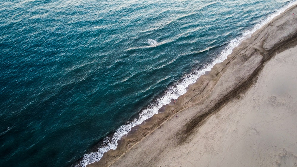 Une plage avec des vagues
