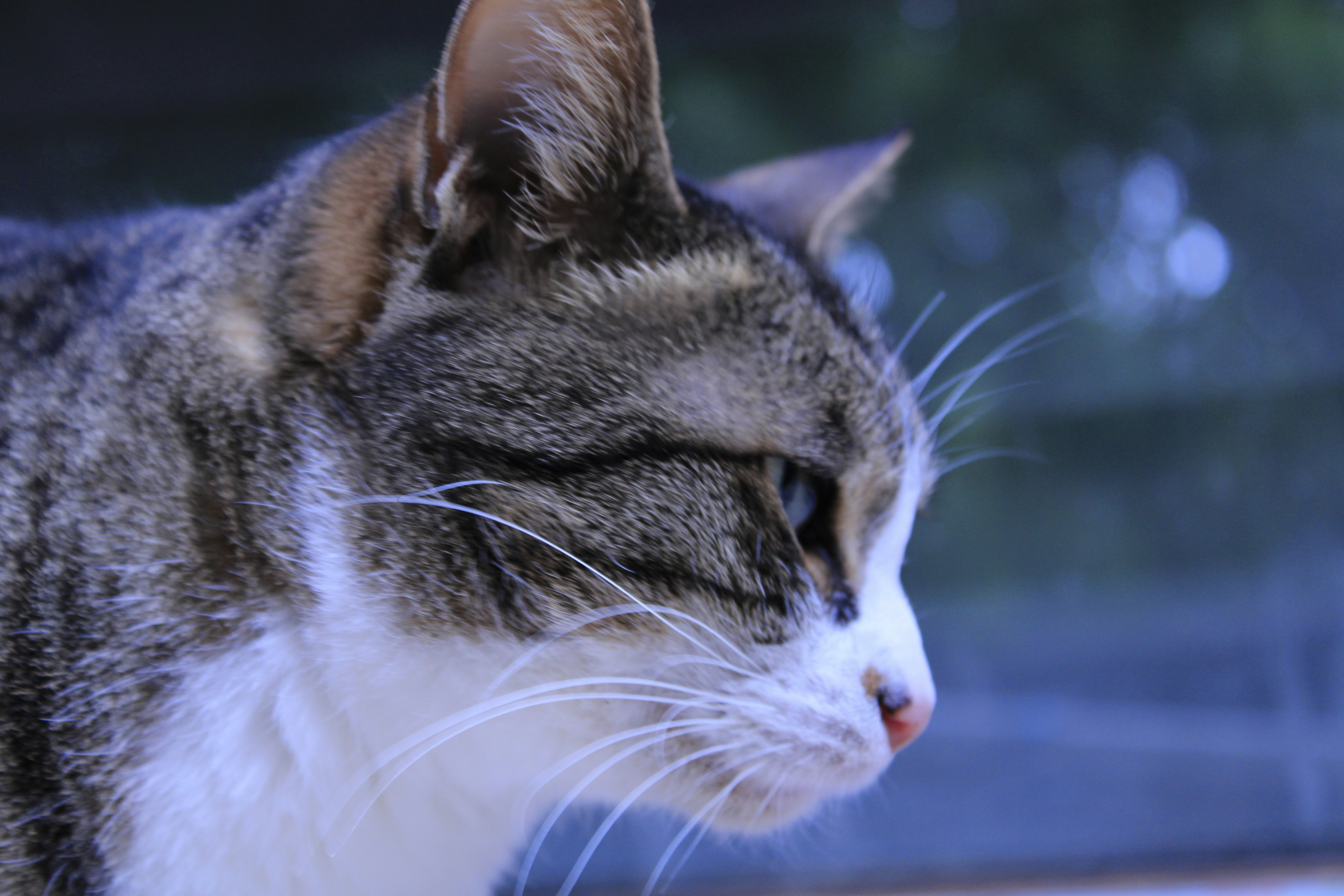 Photo by fatemehmousaviany