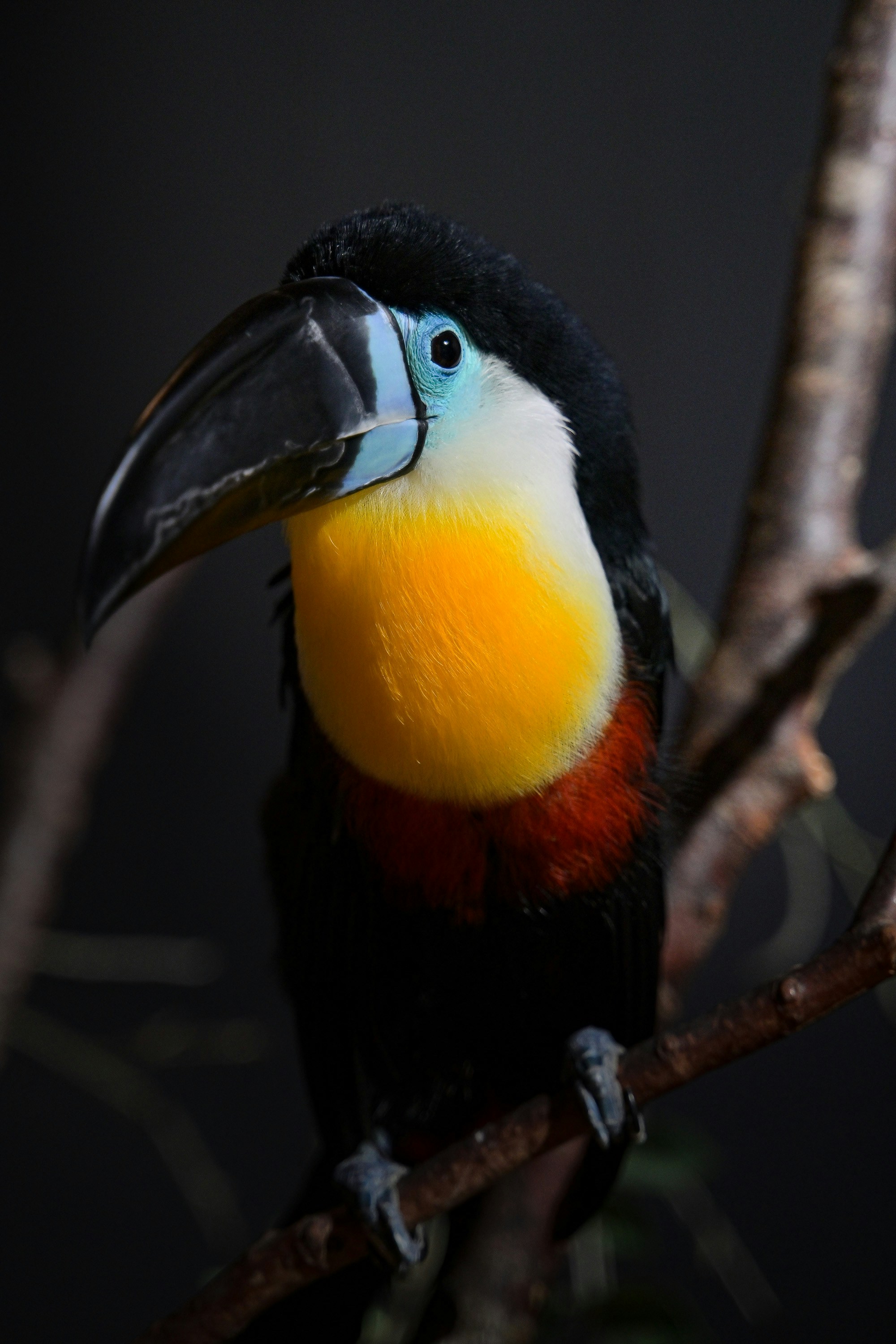 Photo by inside_the_b