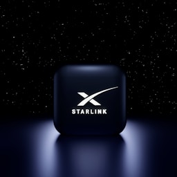 SpaceX's Mitigation Strategies