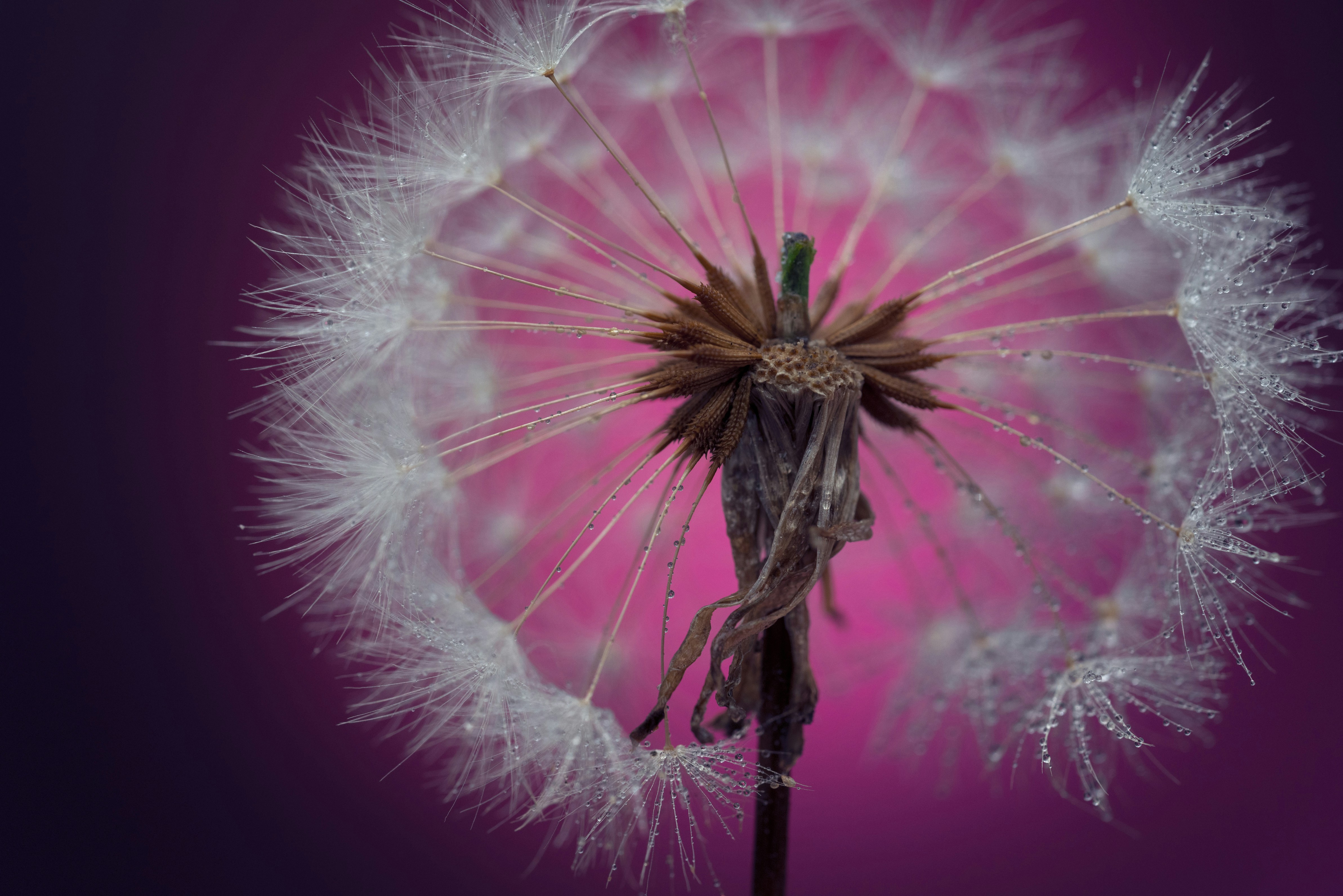 Photo by goodfunlover