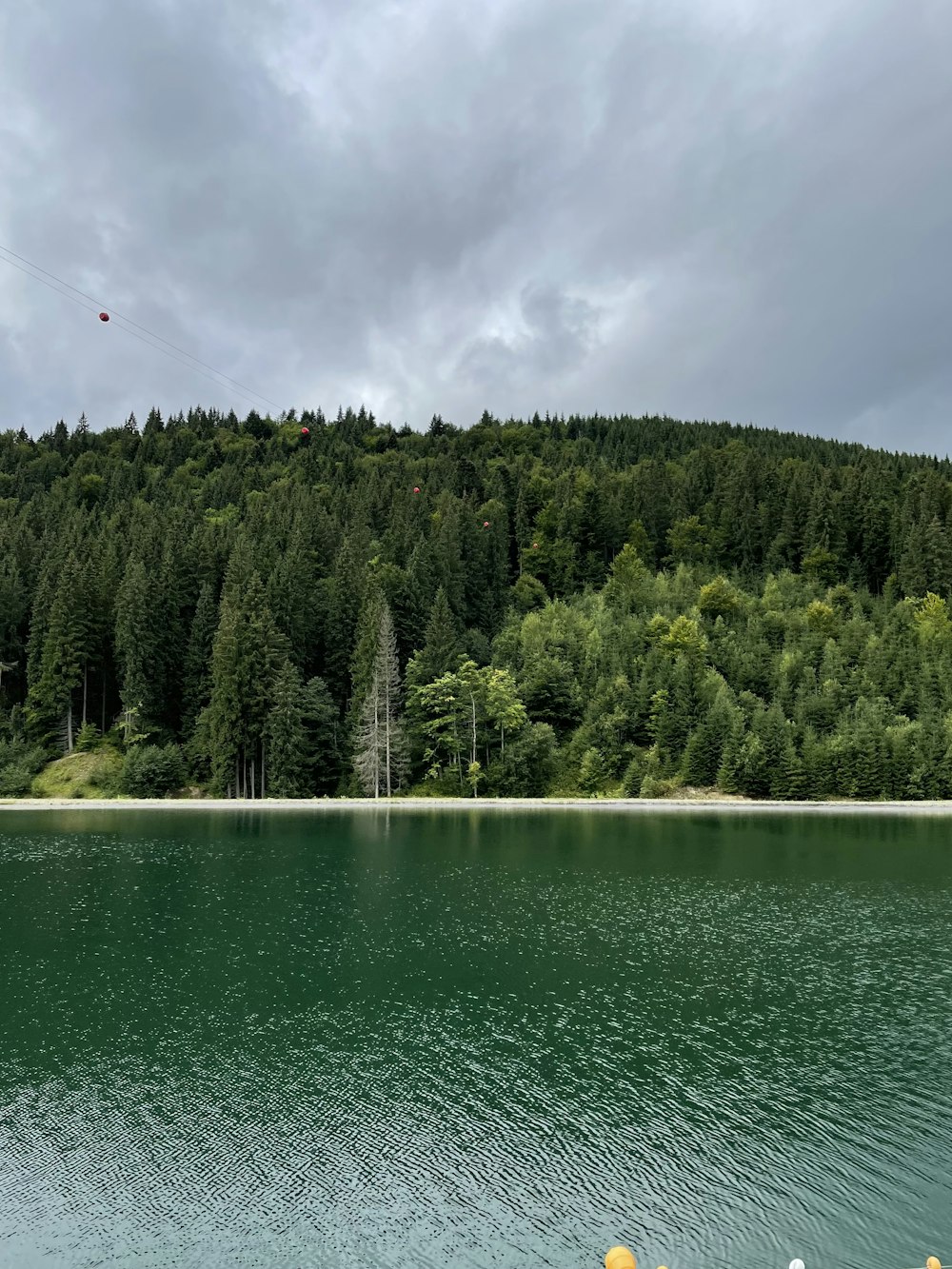 a body of water with trees in the back