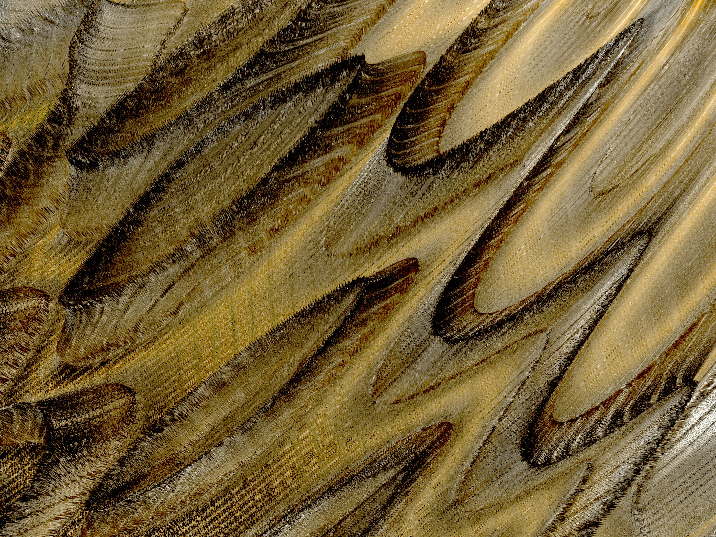 Photo by rick_rothenberg