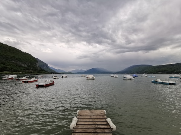 Discovering Annecy-le-Vieux's Local Cuisine: Dishes, Restaurants, and Recipes