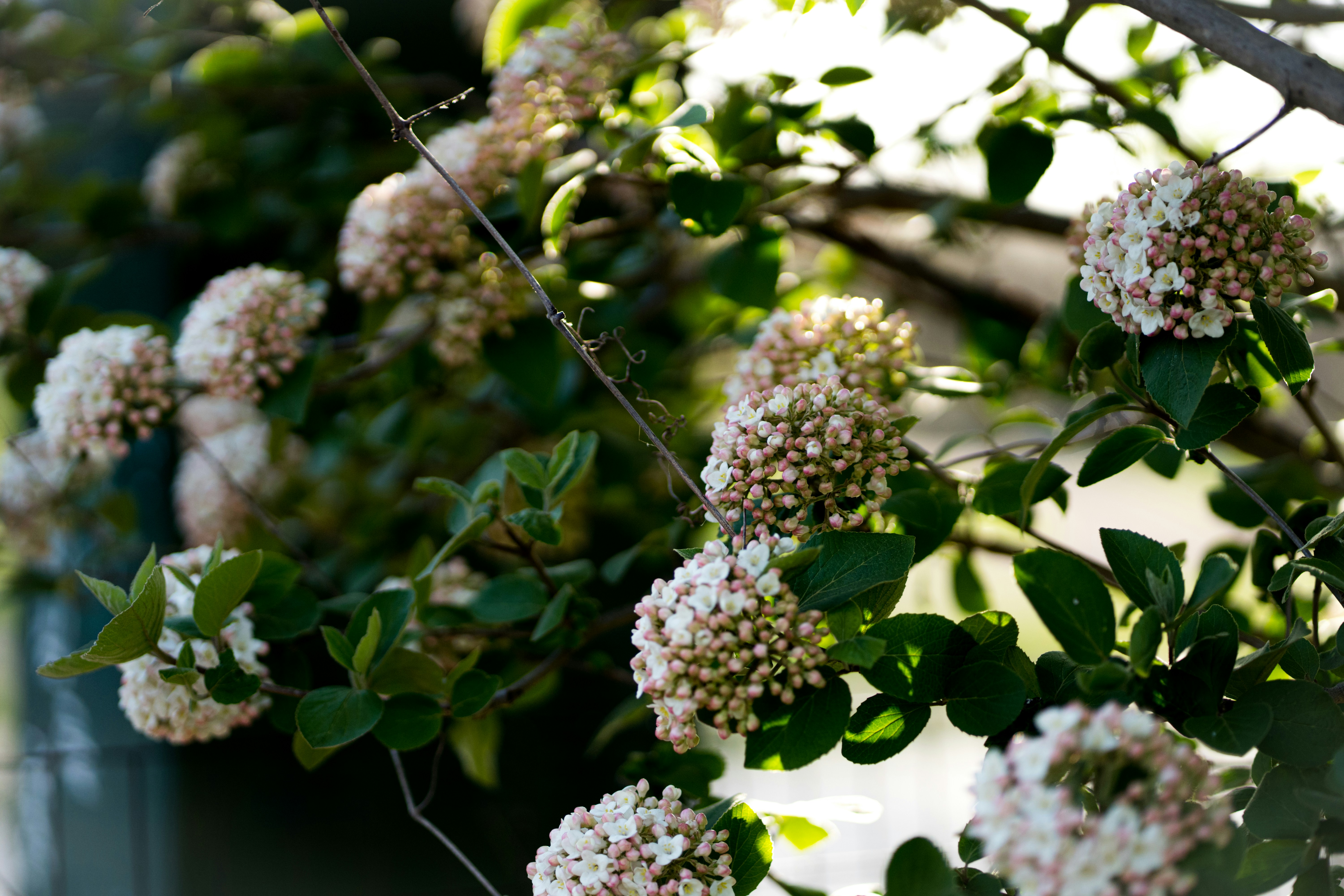 Photo by abhinav1bhardwaj