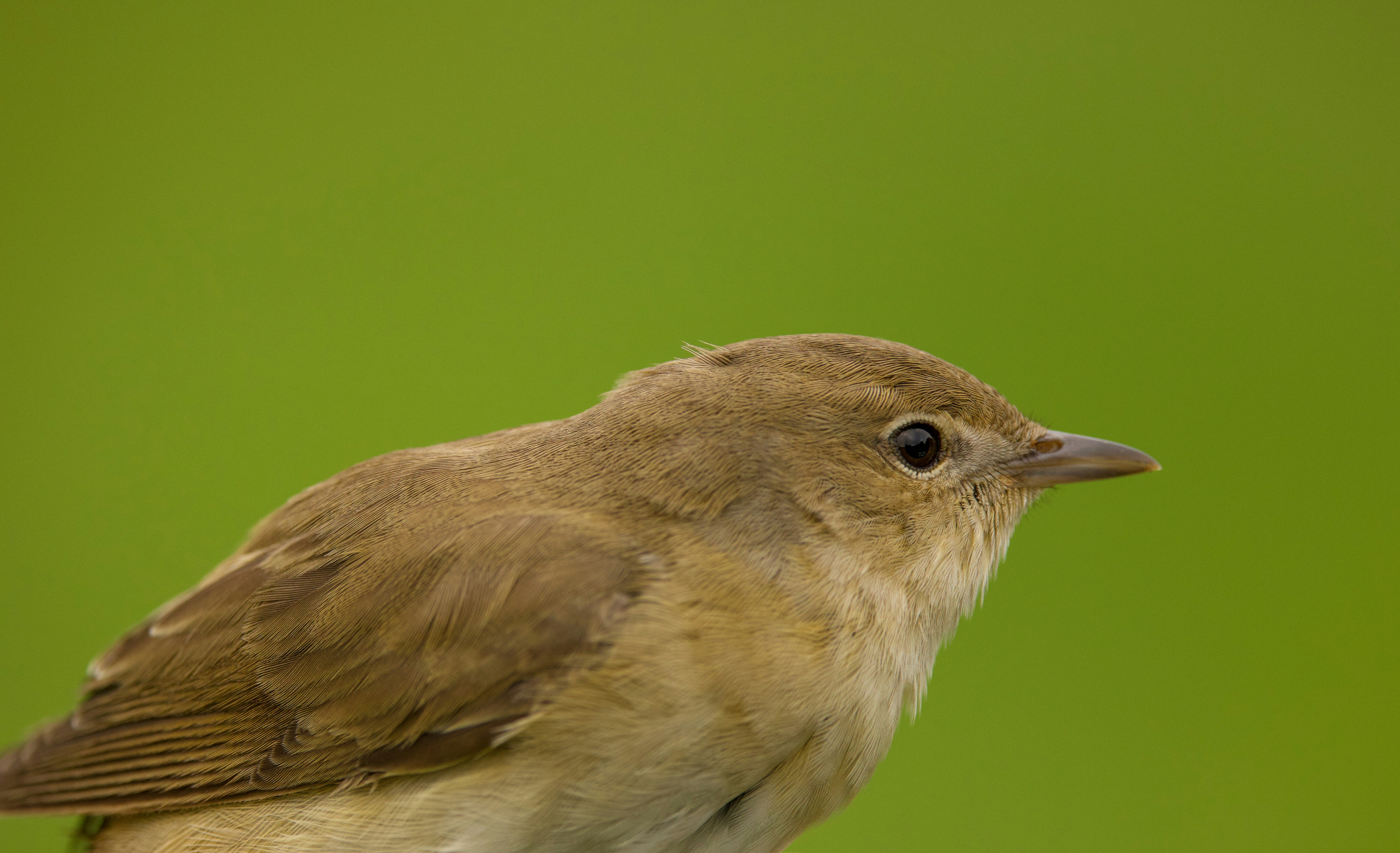 Photo by heather_wilde