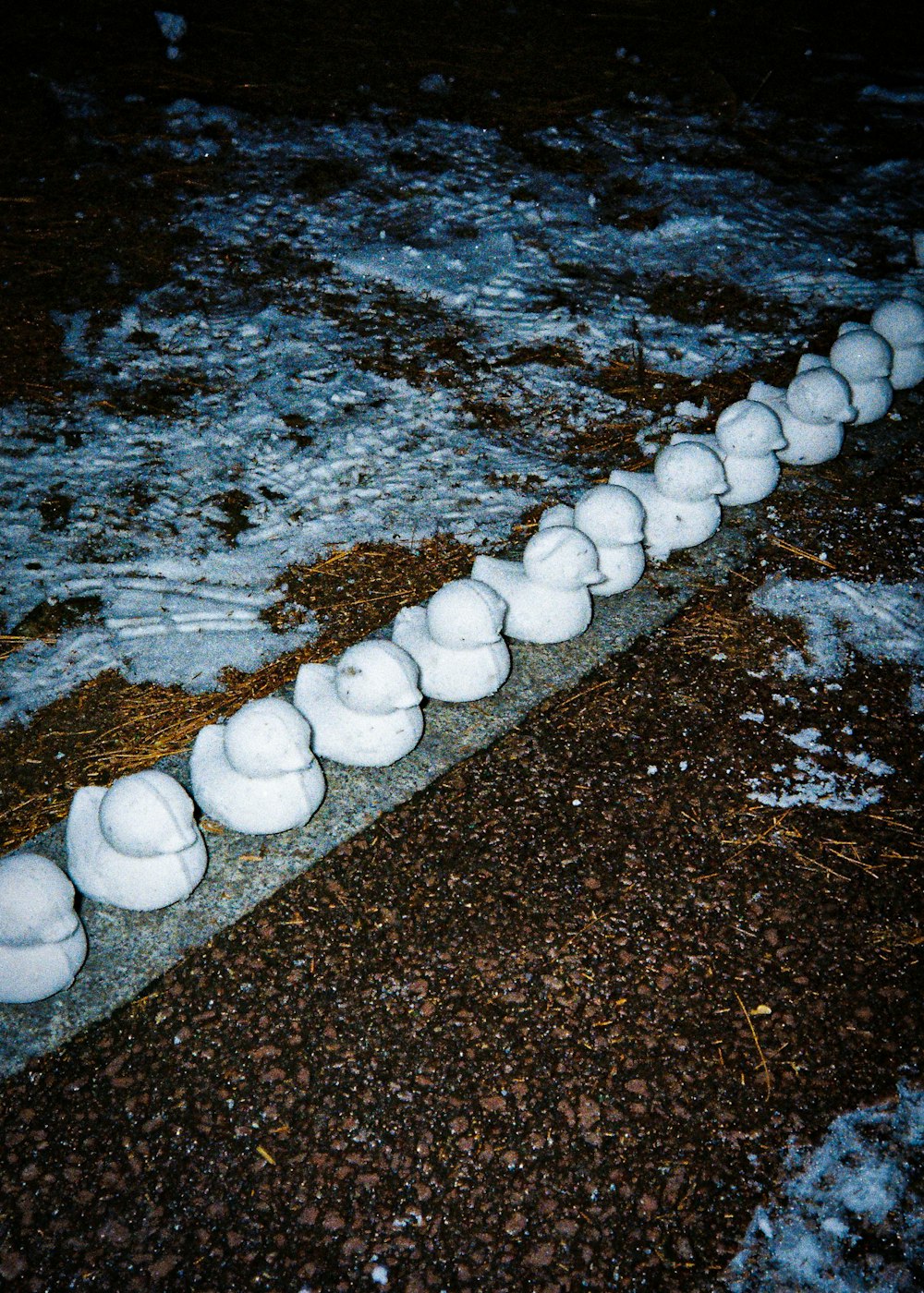 a group of white objects on a wet surface