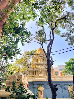 A stunning view of a traditional Indian temple surrounded by lush greenery.
