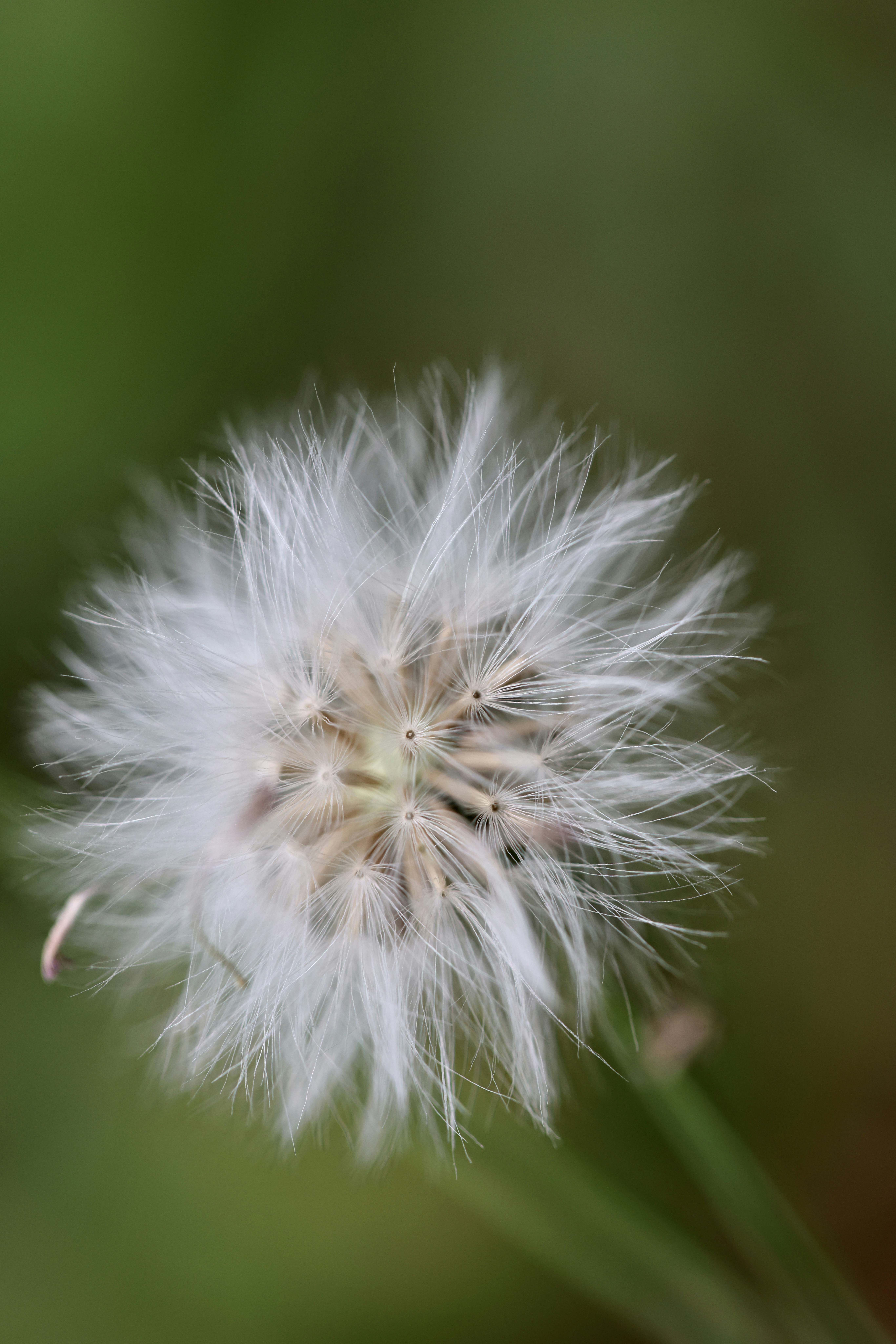 Photo by dickenslin76