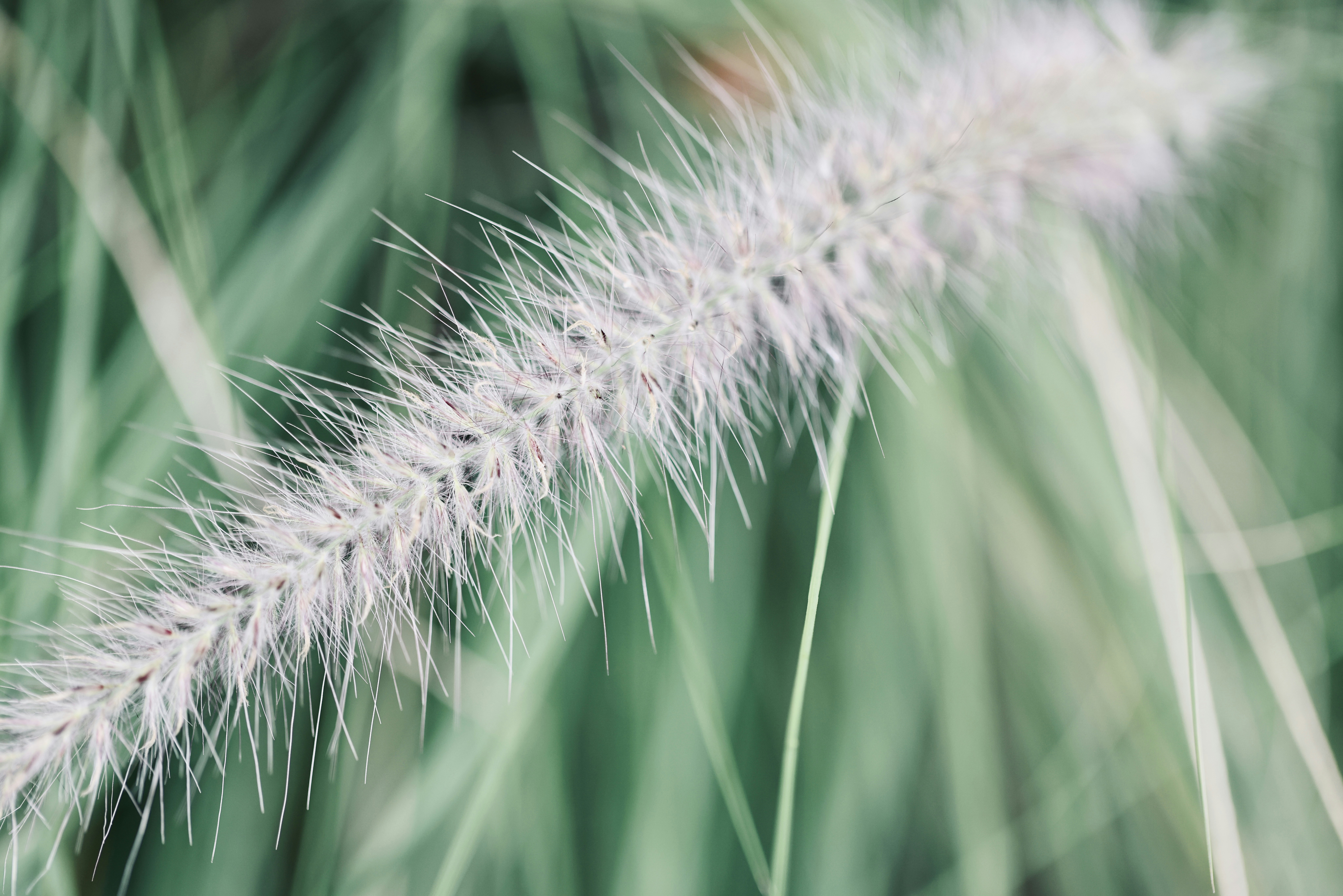 Photo by dickenslin76