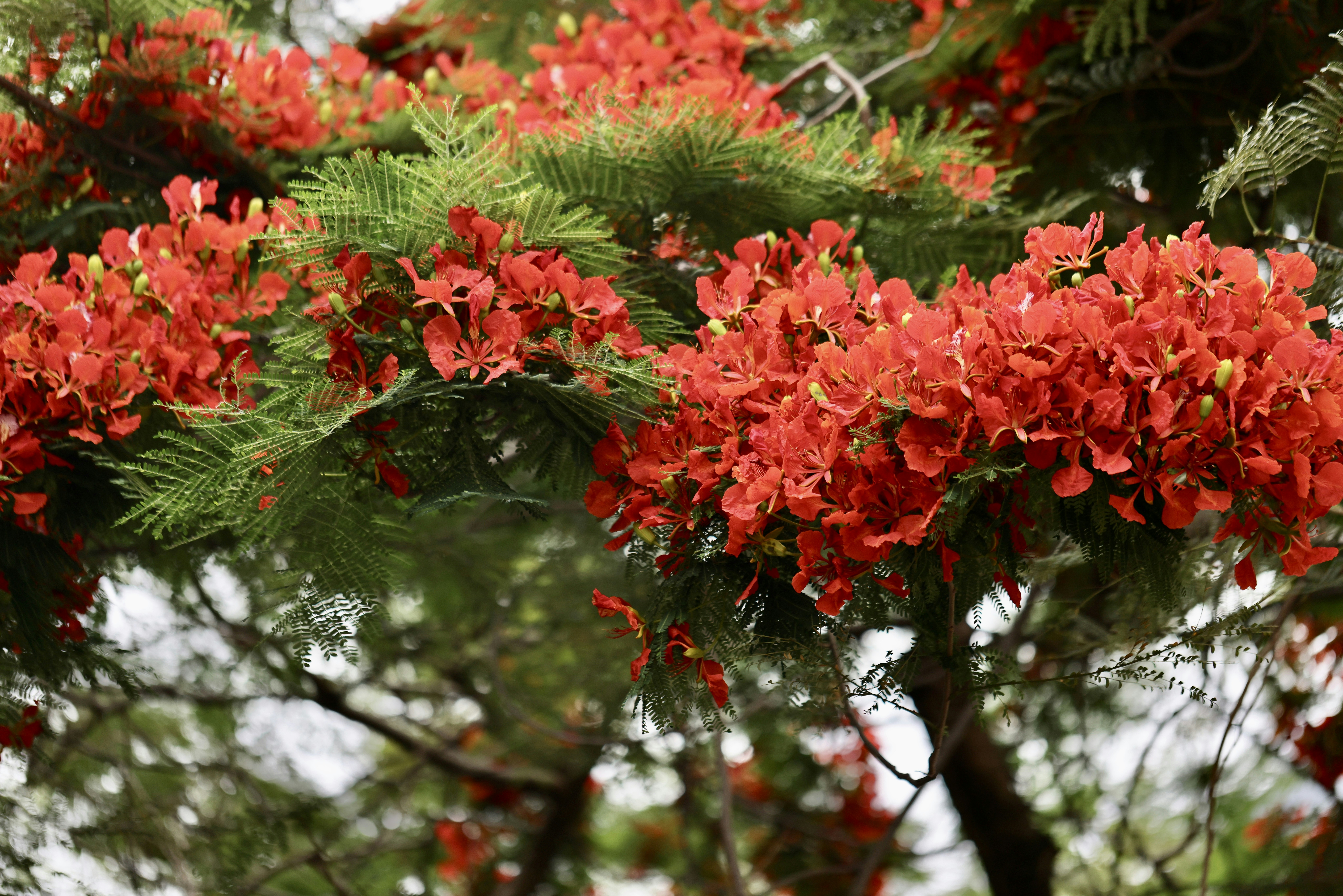 Photo by dickenslin76