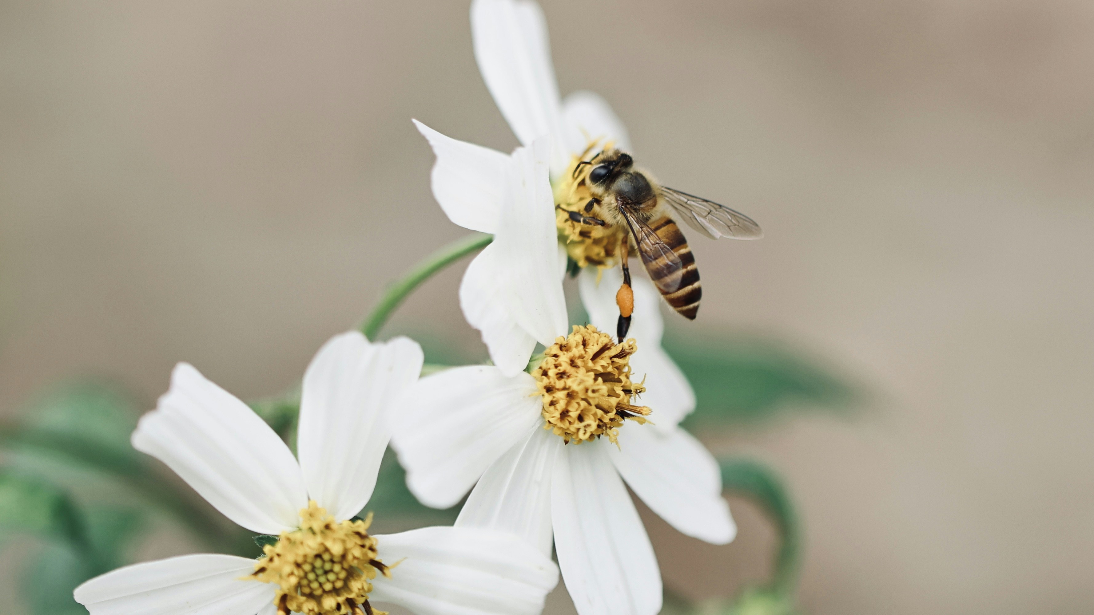 Photo by dickenslin76