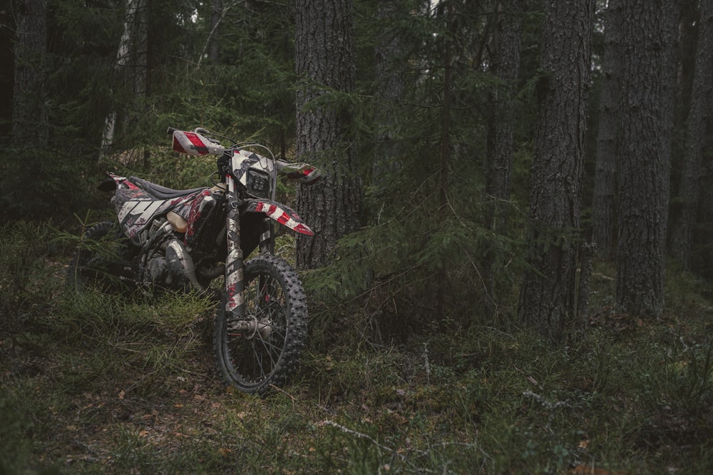a dirt bike in the woods