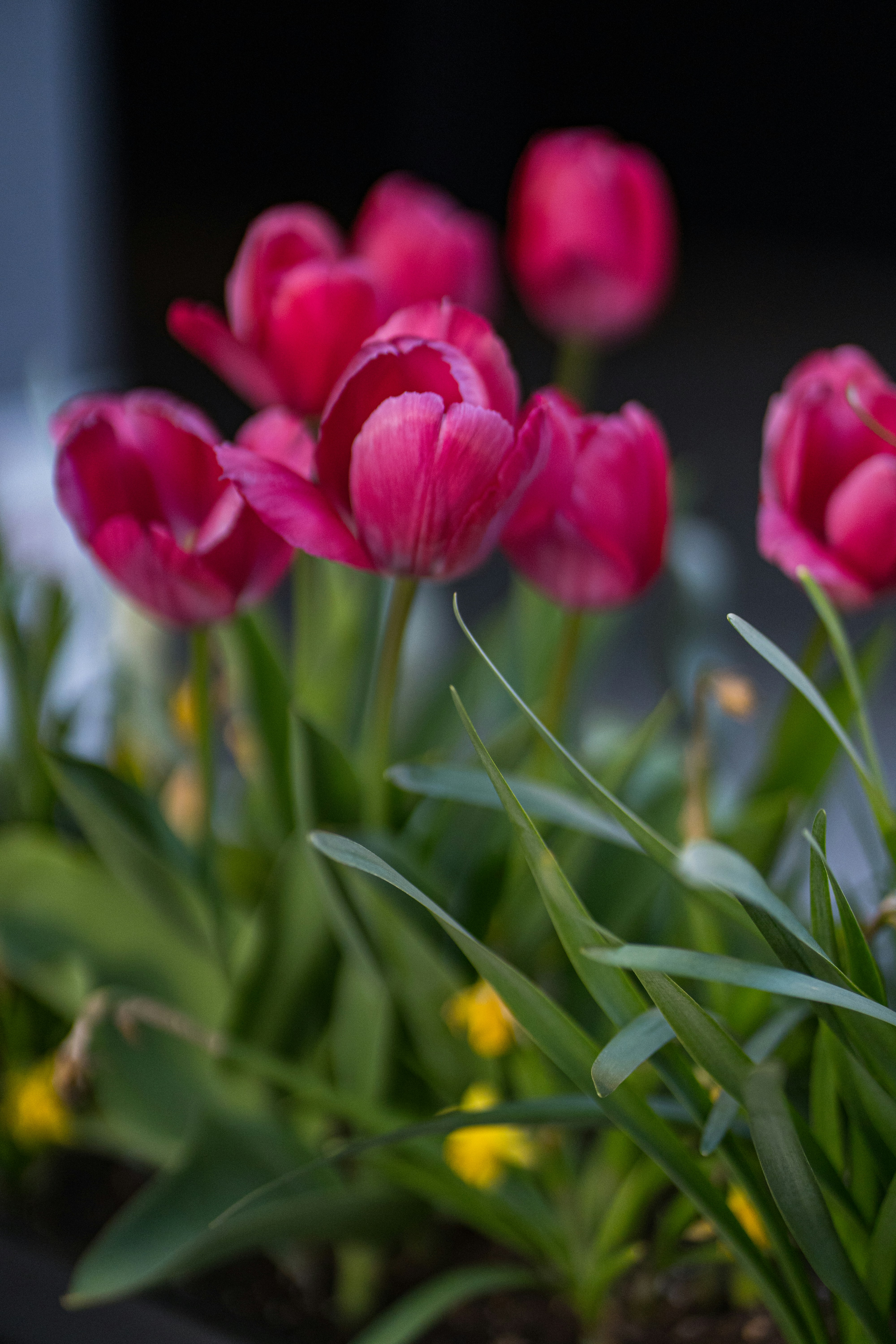 Photo by abhinav1bhardwaj