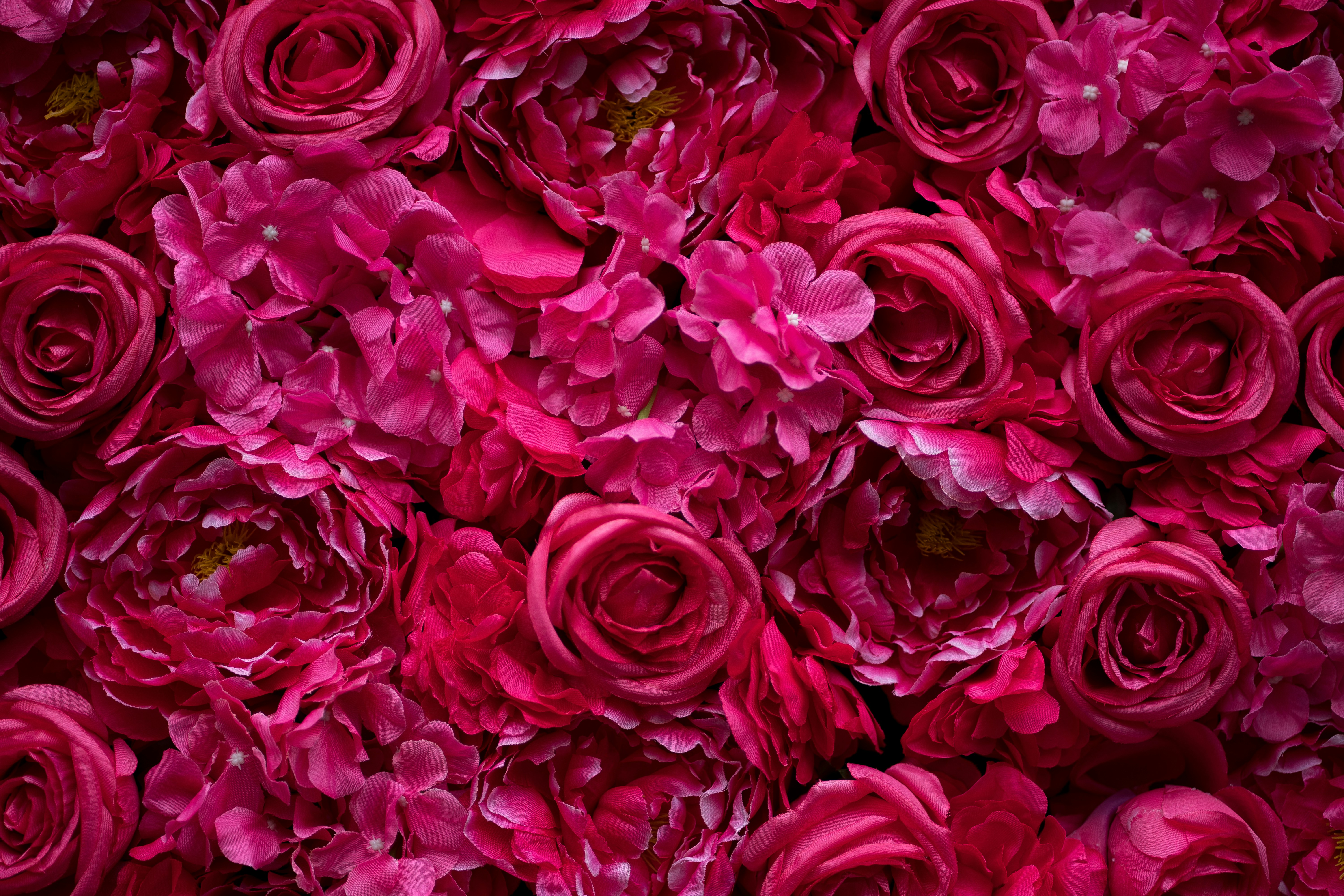 Photo by abhinav1bhardwaj