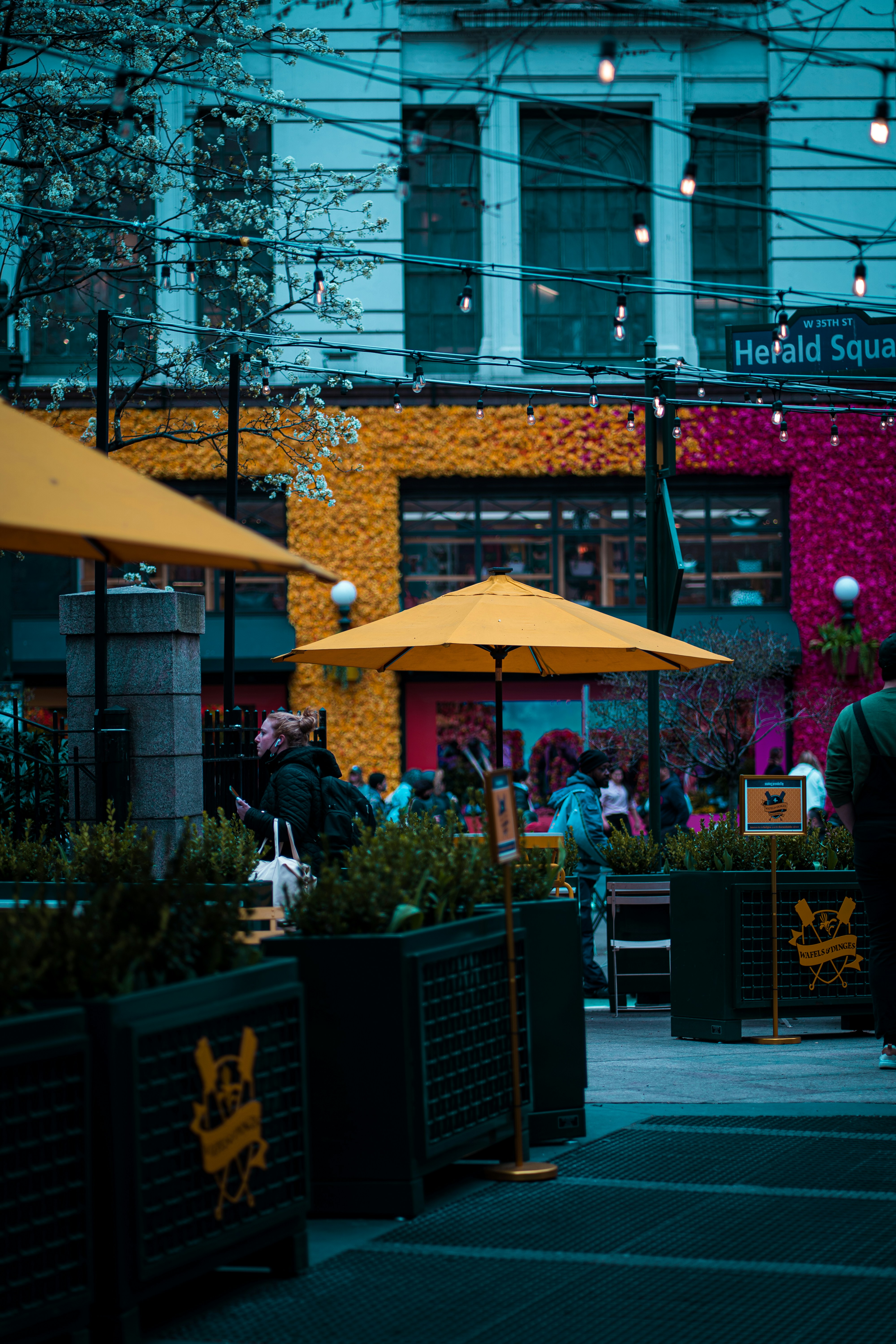 Photo by abhinav1bhardwaj