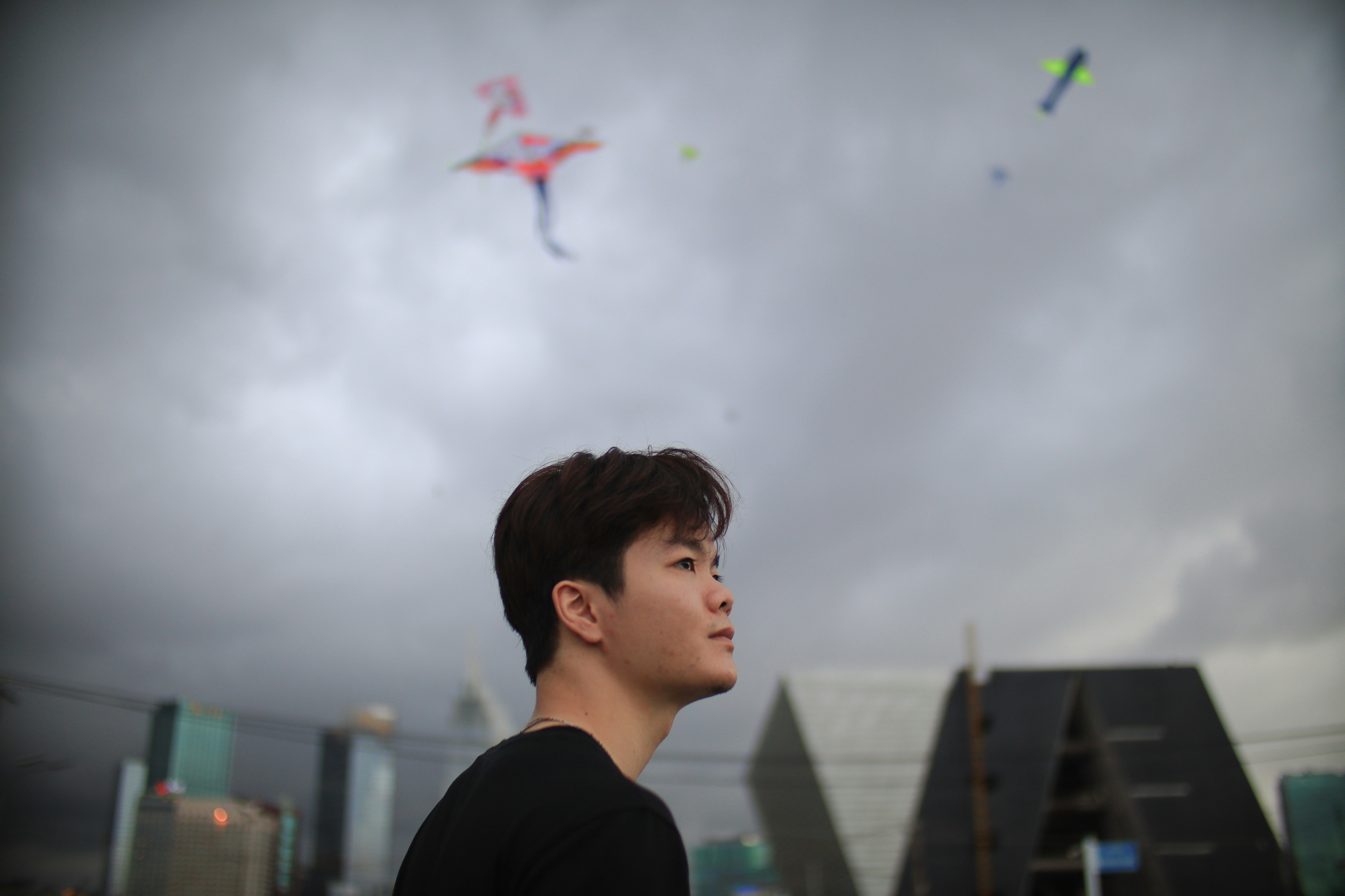 Kites in the sky