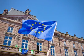a flag on a pole in front of a building