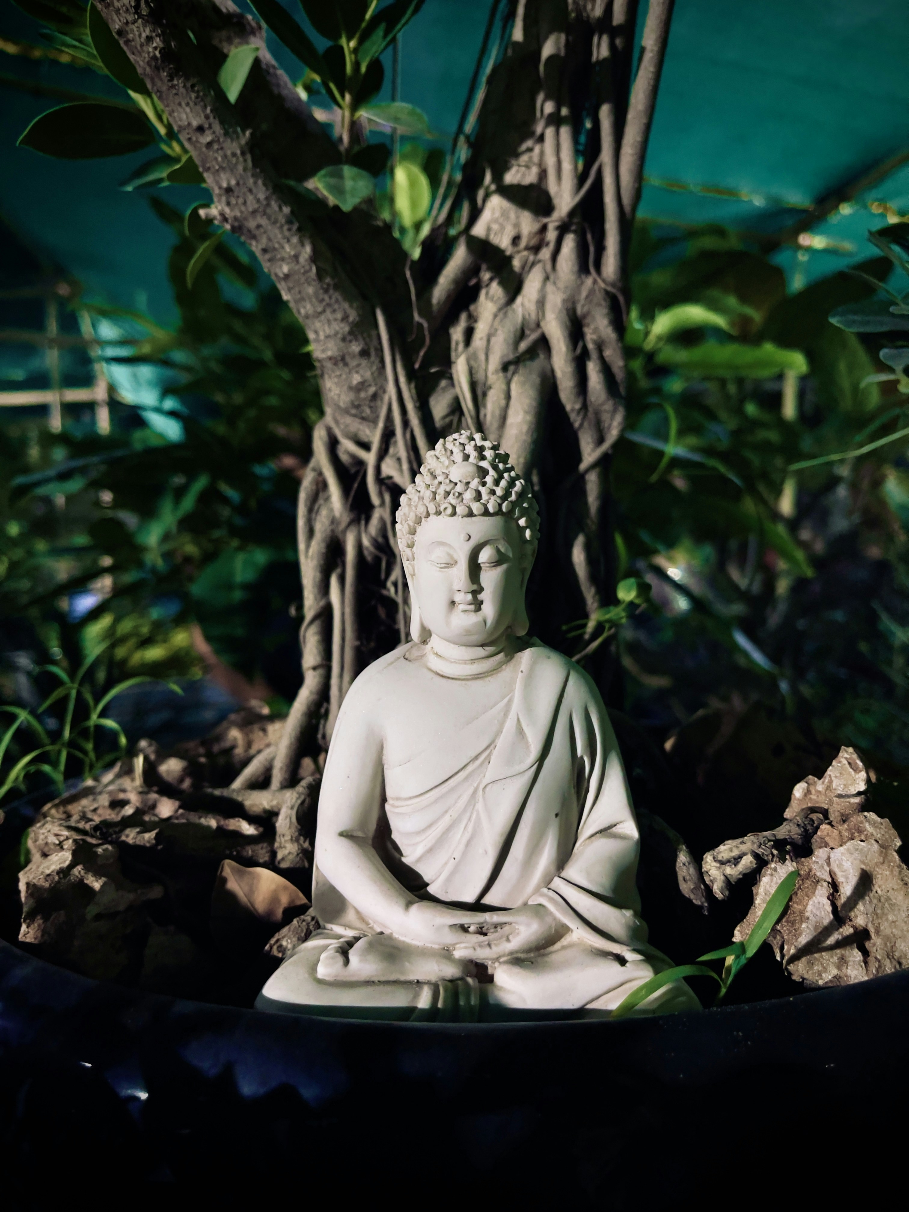 Photo by captain_slow07