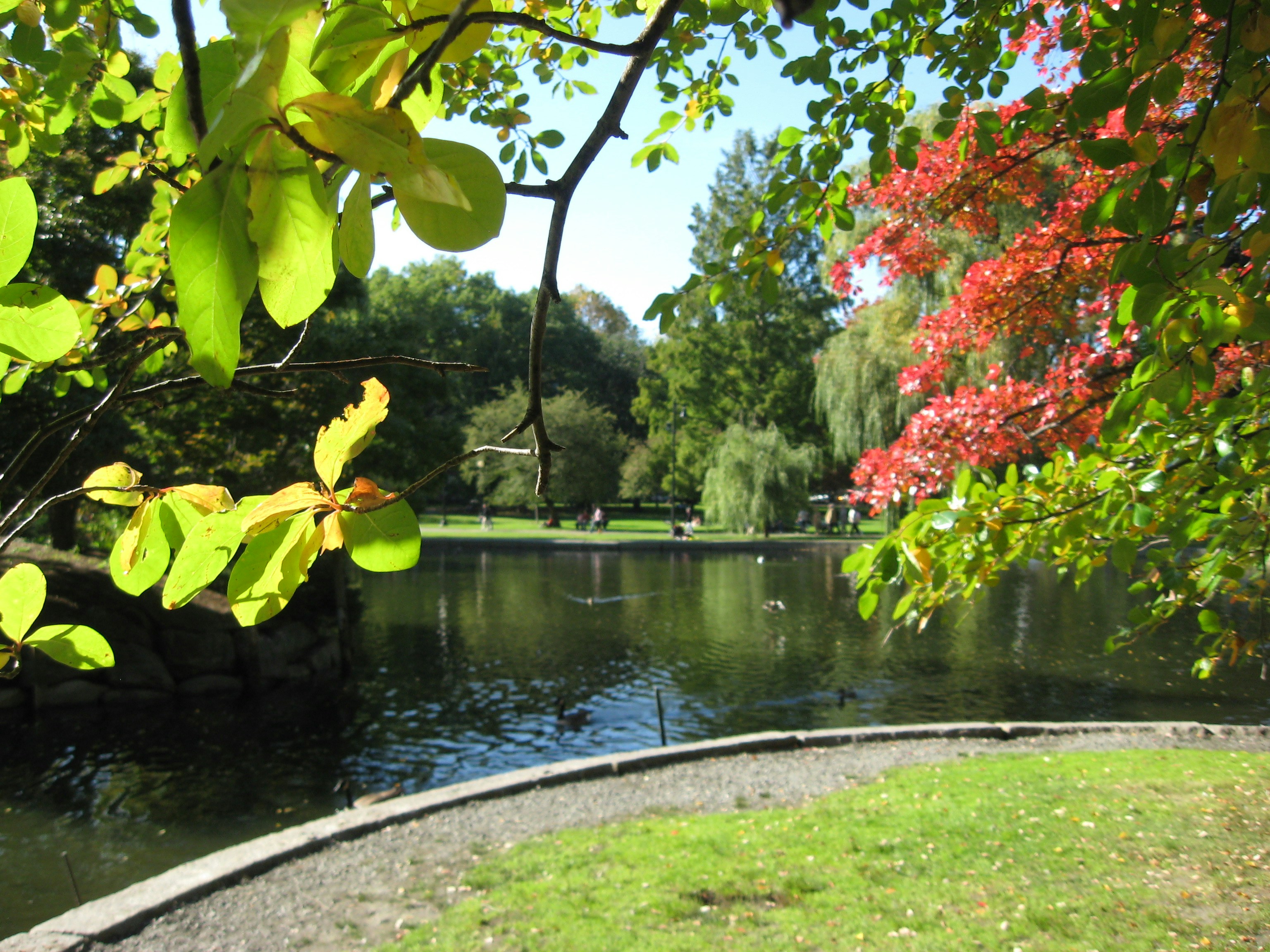 Photo by themiraclemuse