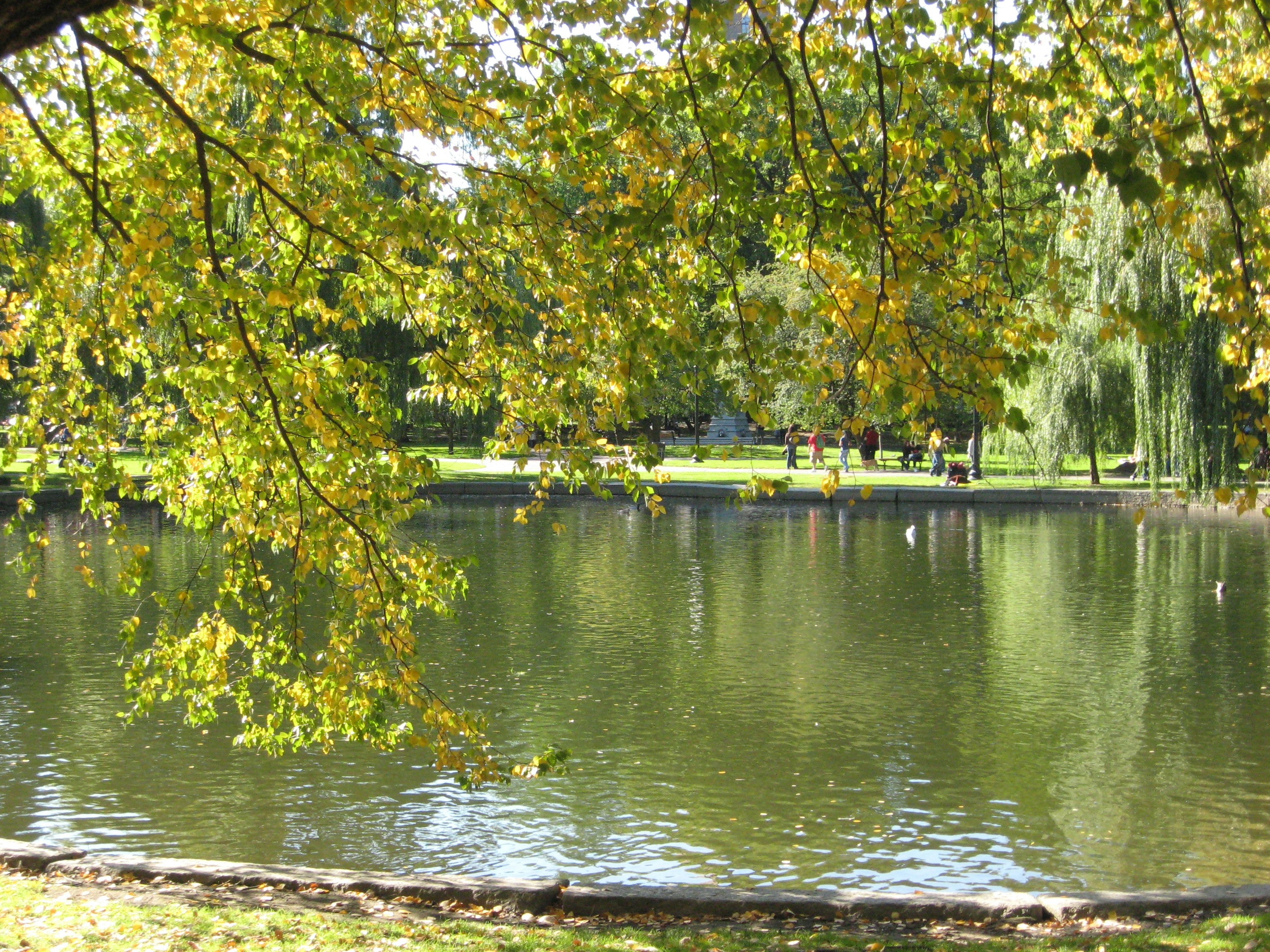 Photo by themiraclemuse