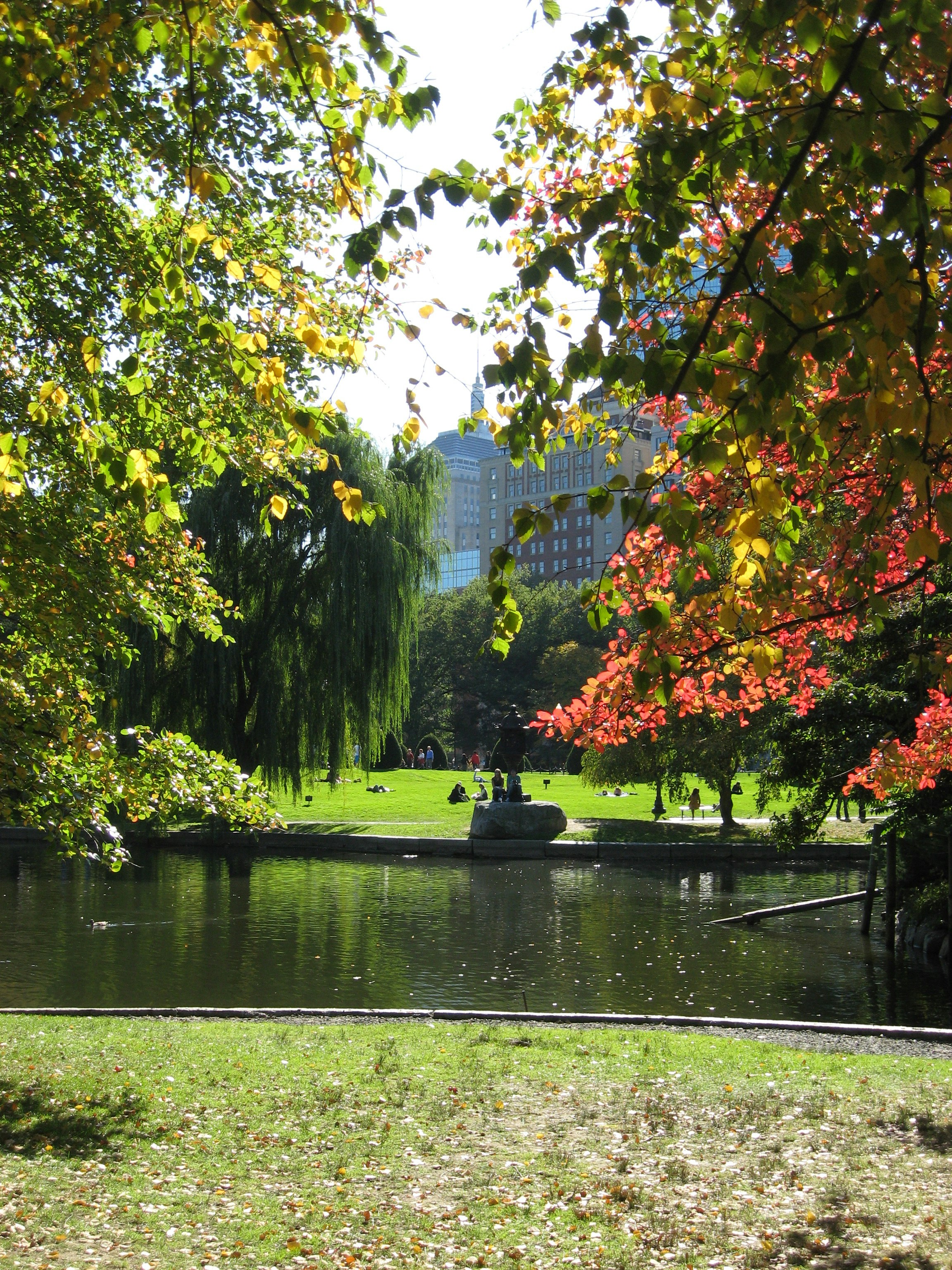 Photo by themiraclemuse