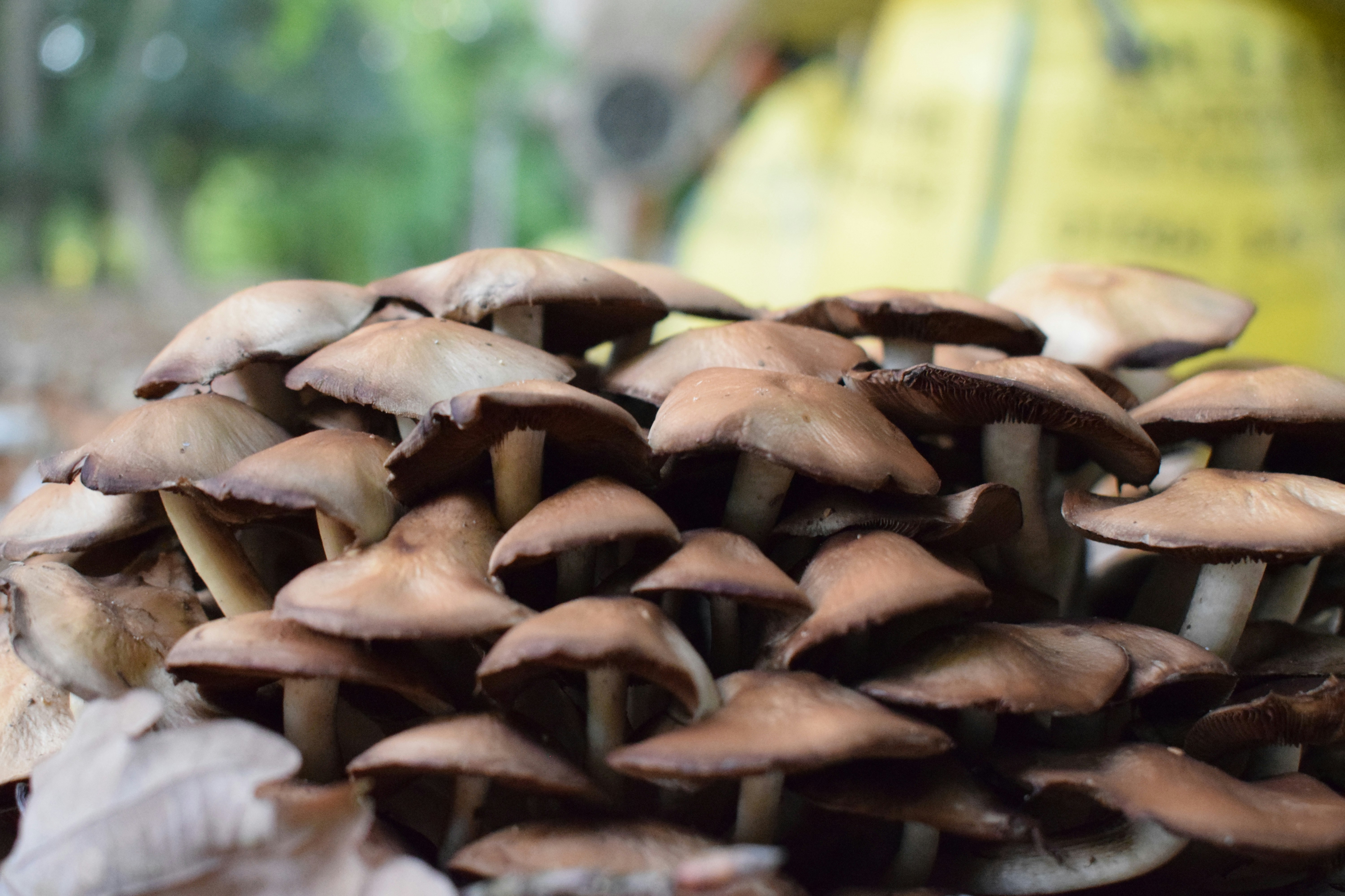 Photo by themiraclemuse