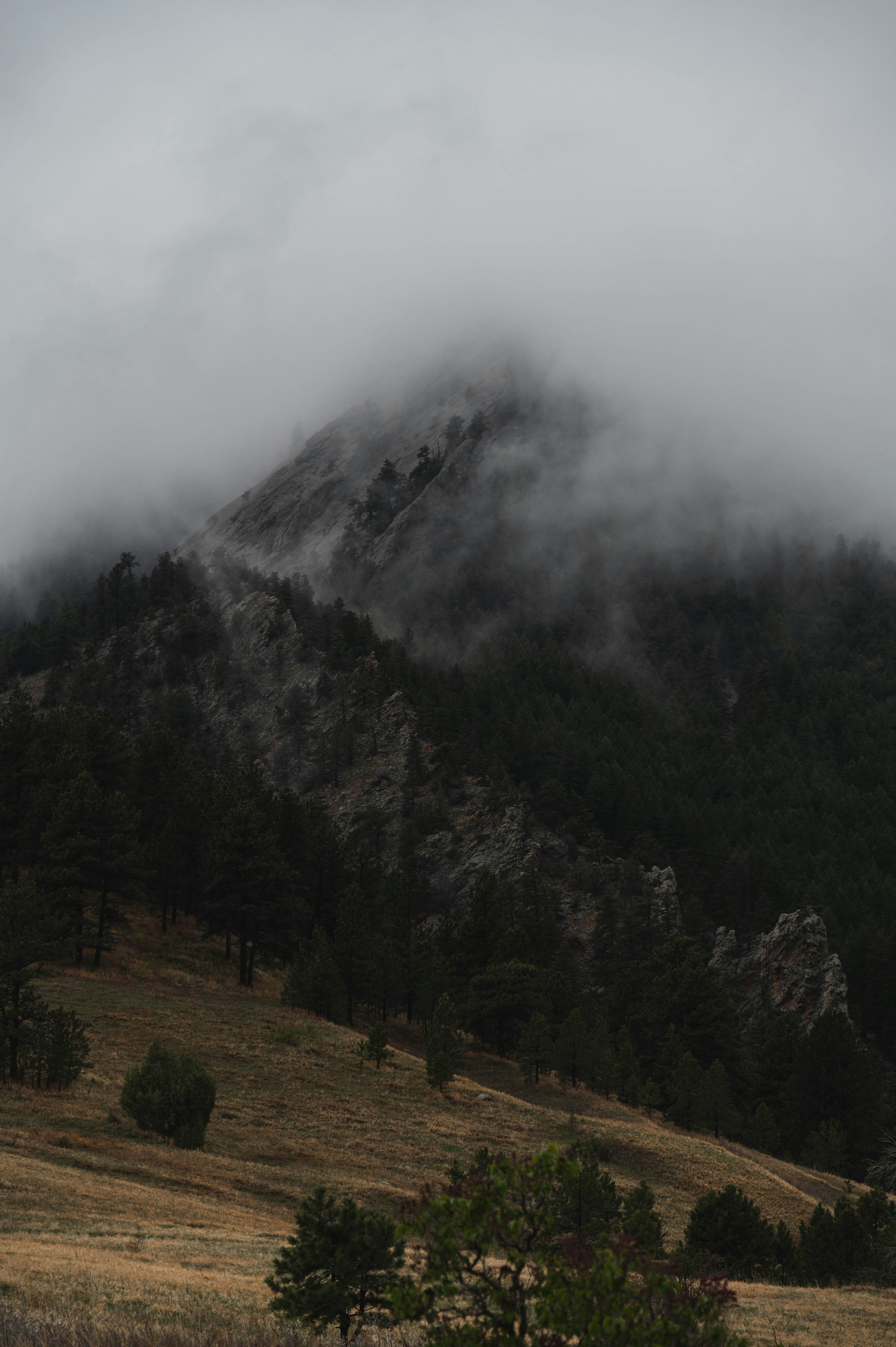 a foggy mountain with trees
