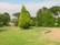 A well-maintained garden with a prominent green coniferous tree in the center, surrounded by various types of lush green bushes and trees. There is a beige dirt pathway curving through the right side and a small bench or structure on the left.