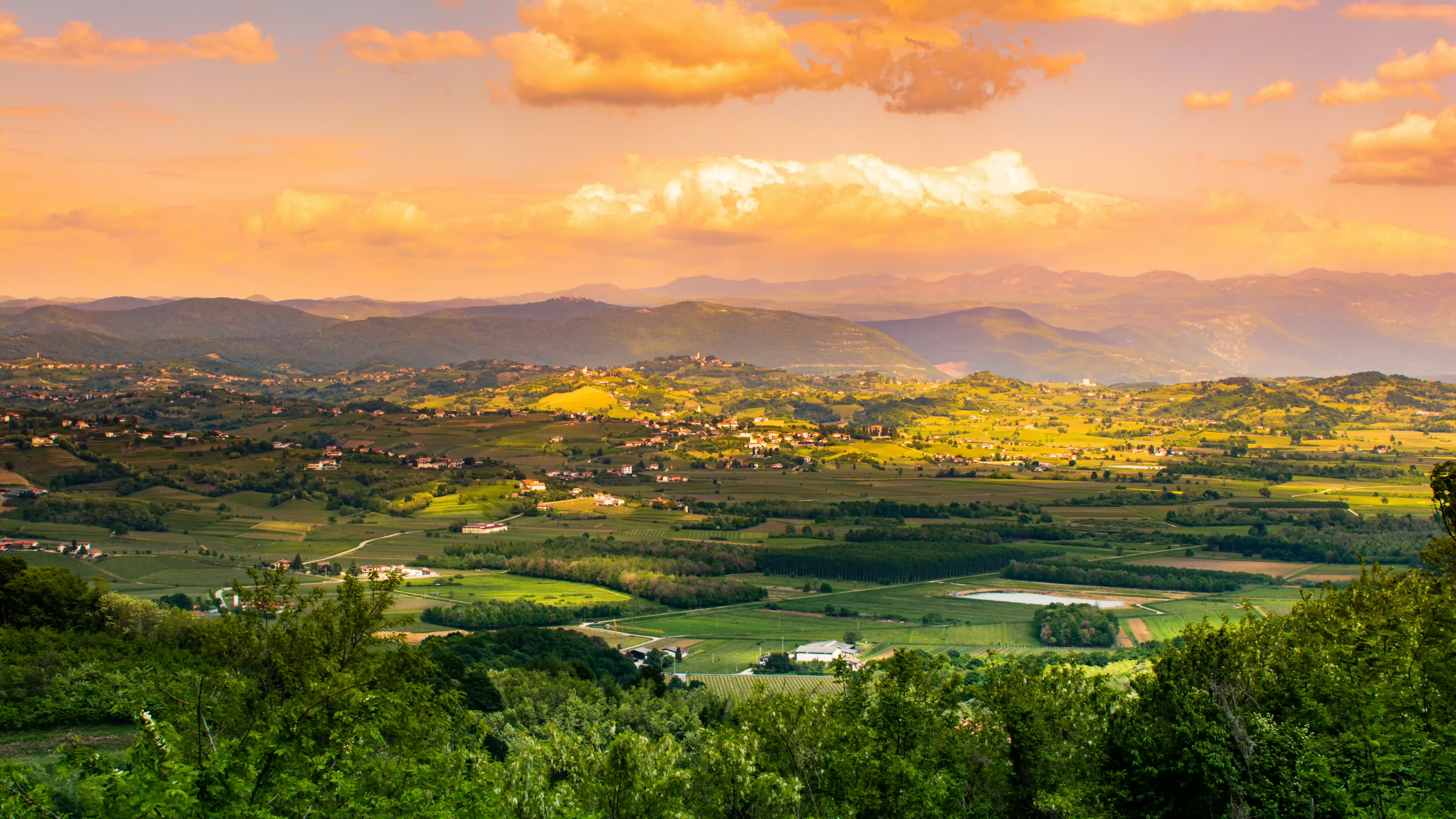 Photo by merlin_photo