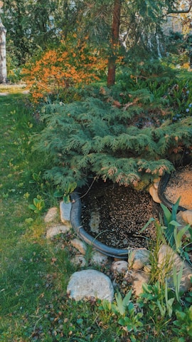 A sunlit sustainable garden with native plants thriving alongside a small pond.