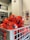 A collection of bright orange soccer balls with black patterns are piled inside a metal basket. The background is slightly blurred, showing part of a store interior with shelves.