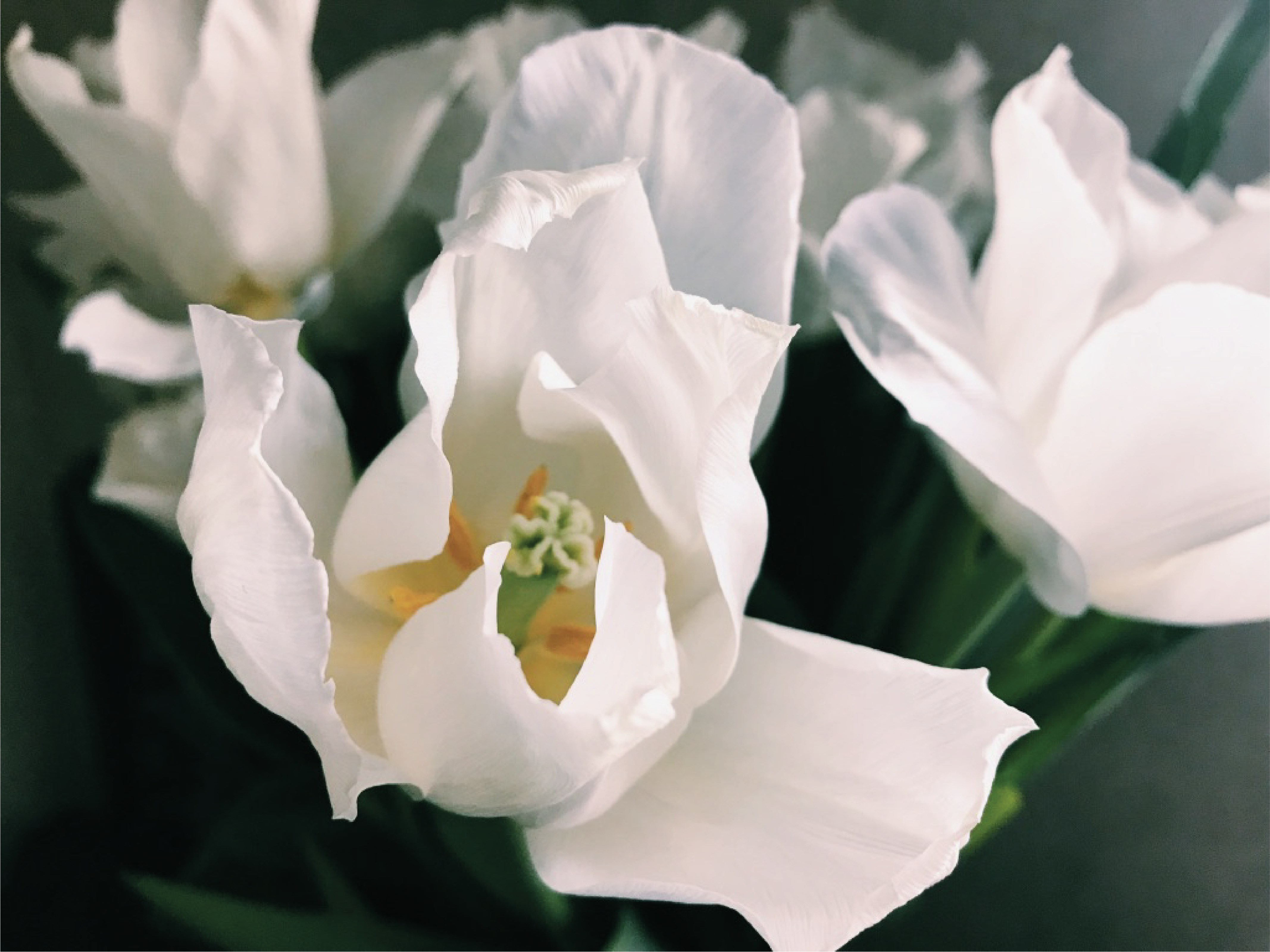 Photo by leliamayarovich