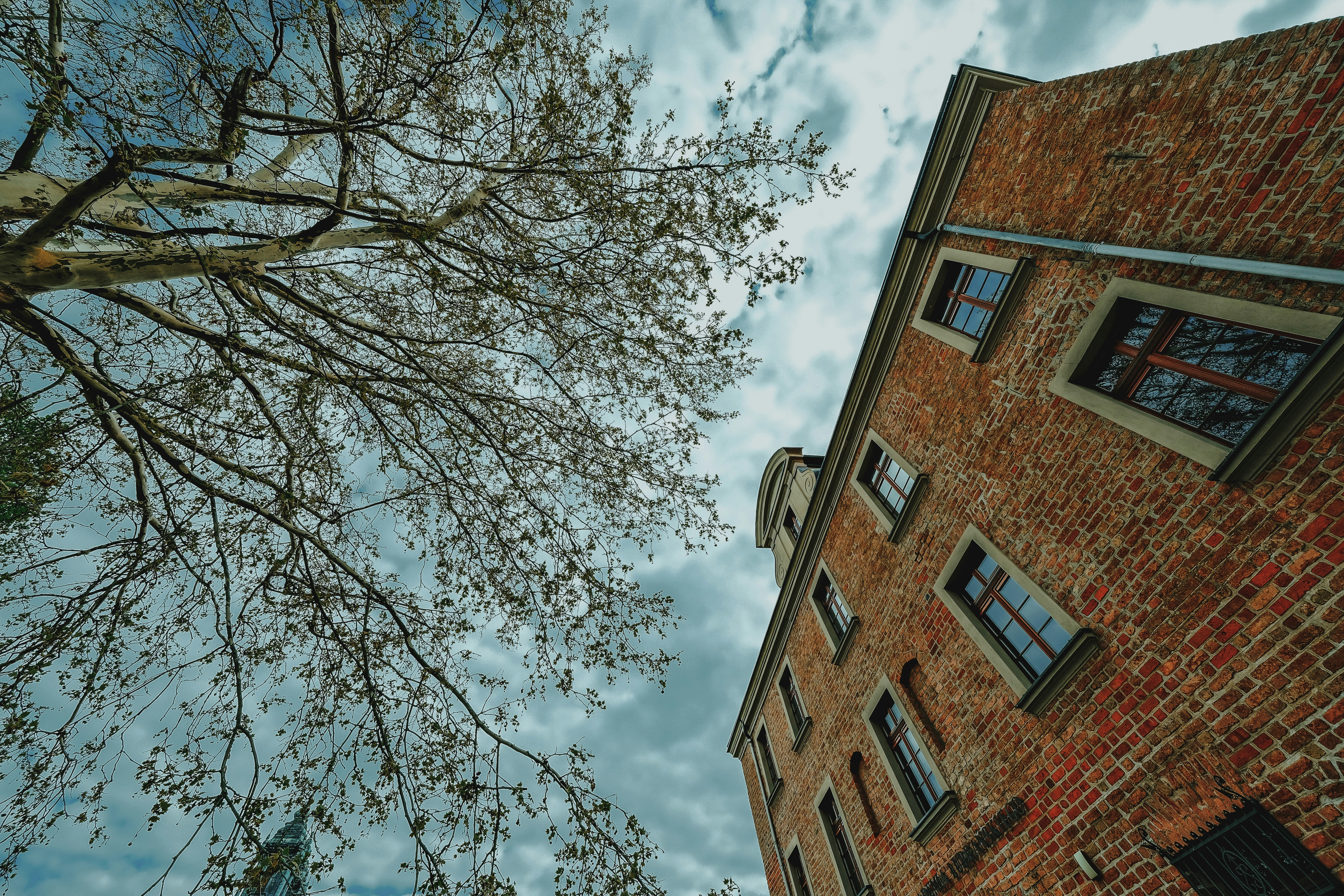 Photo by egorkomarov