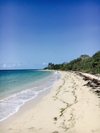 A serene beach with clear blue waters and soft white sand.