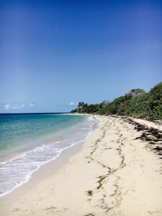 A serene beach with clear blue waters and soft white sand.