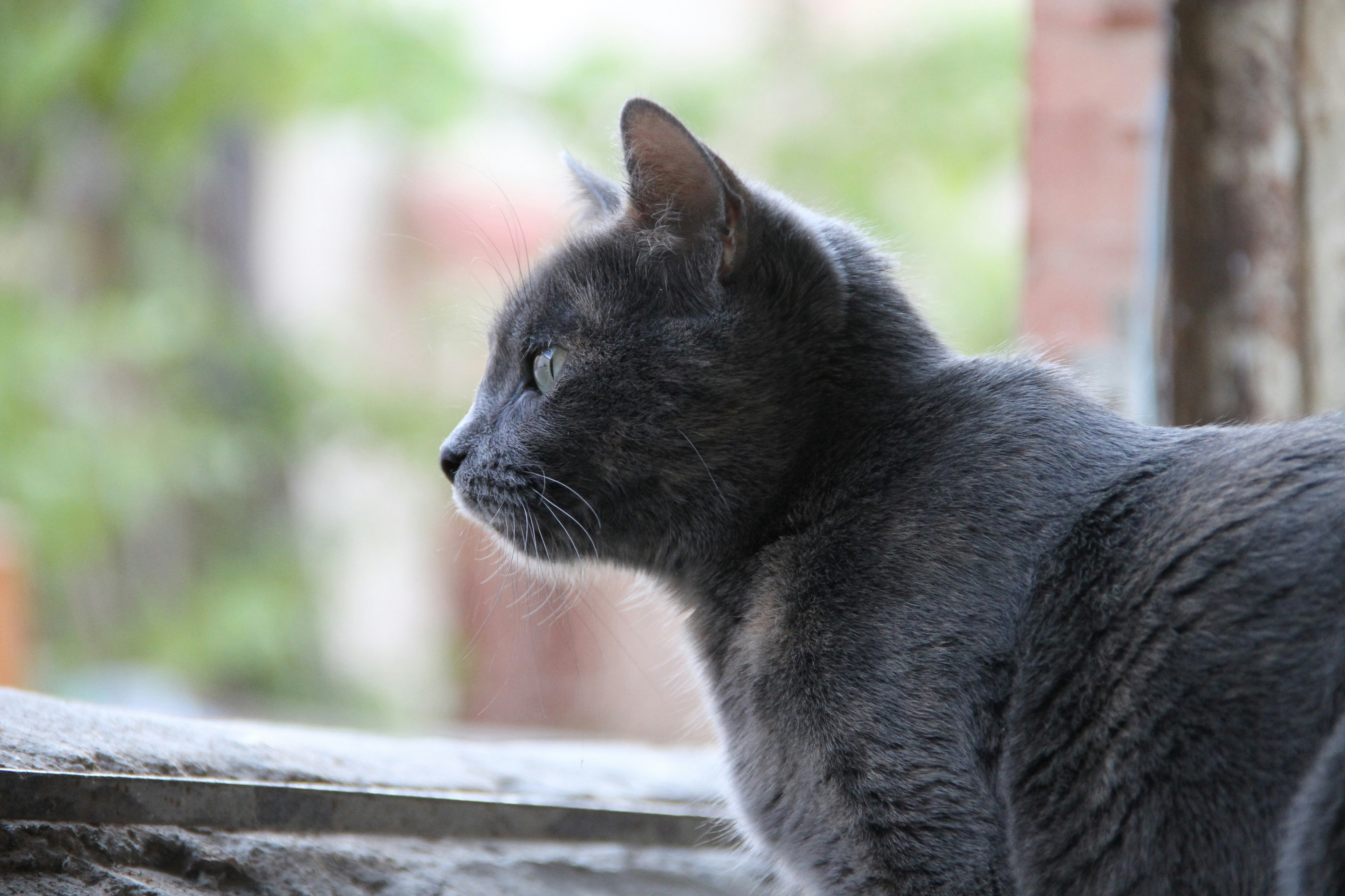 Photo by eosphotography