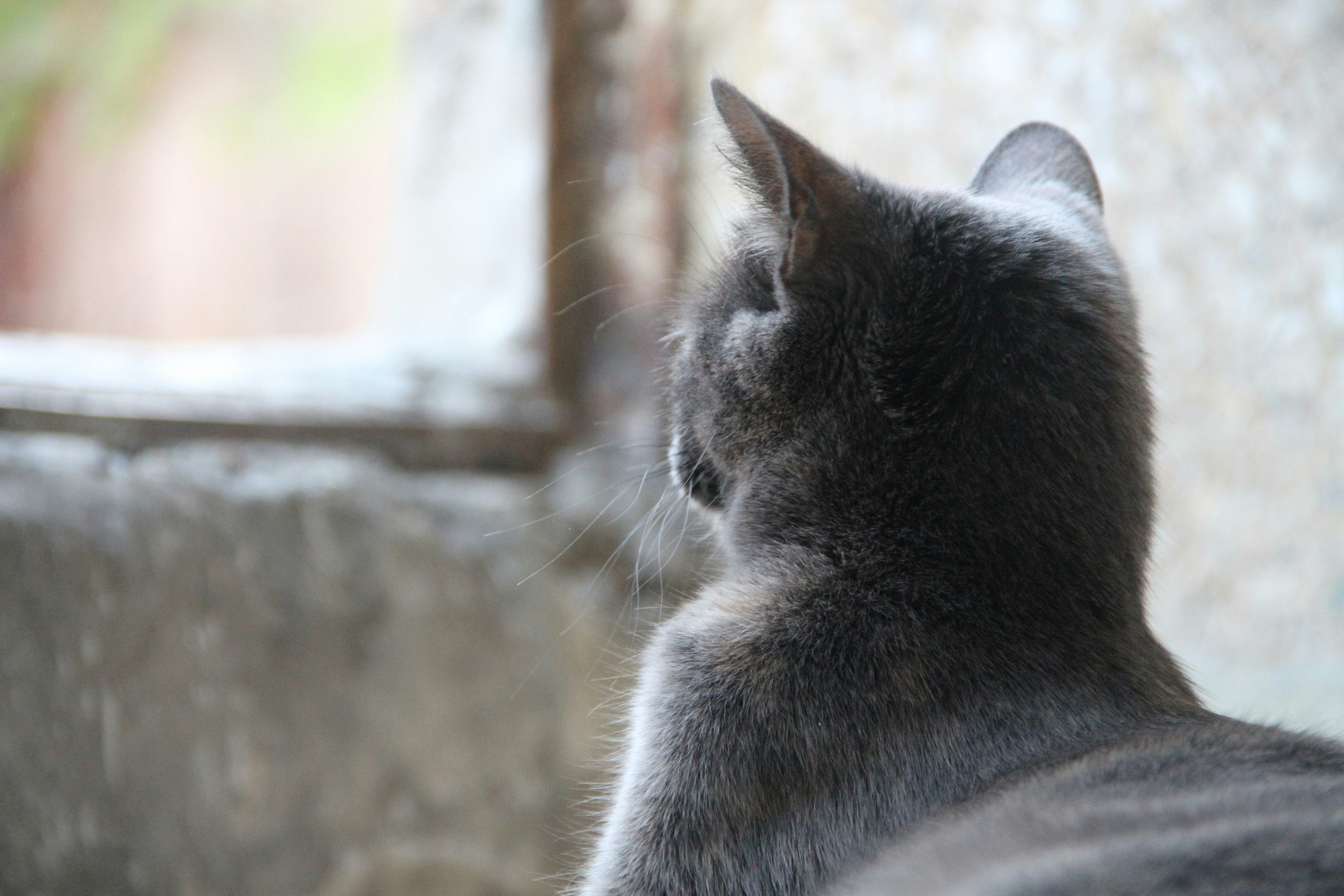 Photo by eosphotography