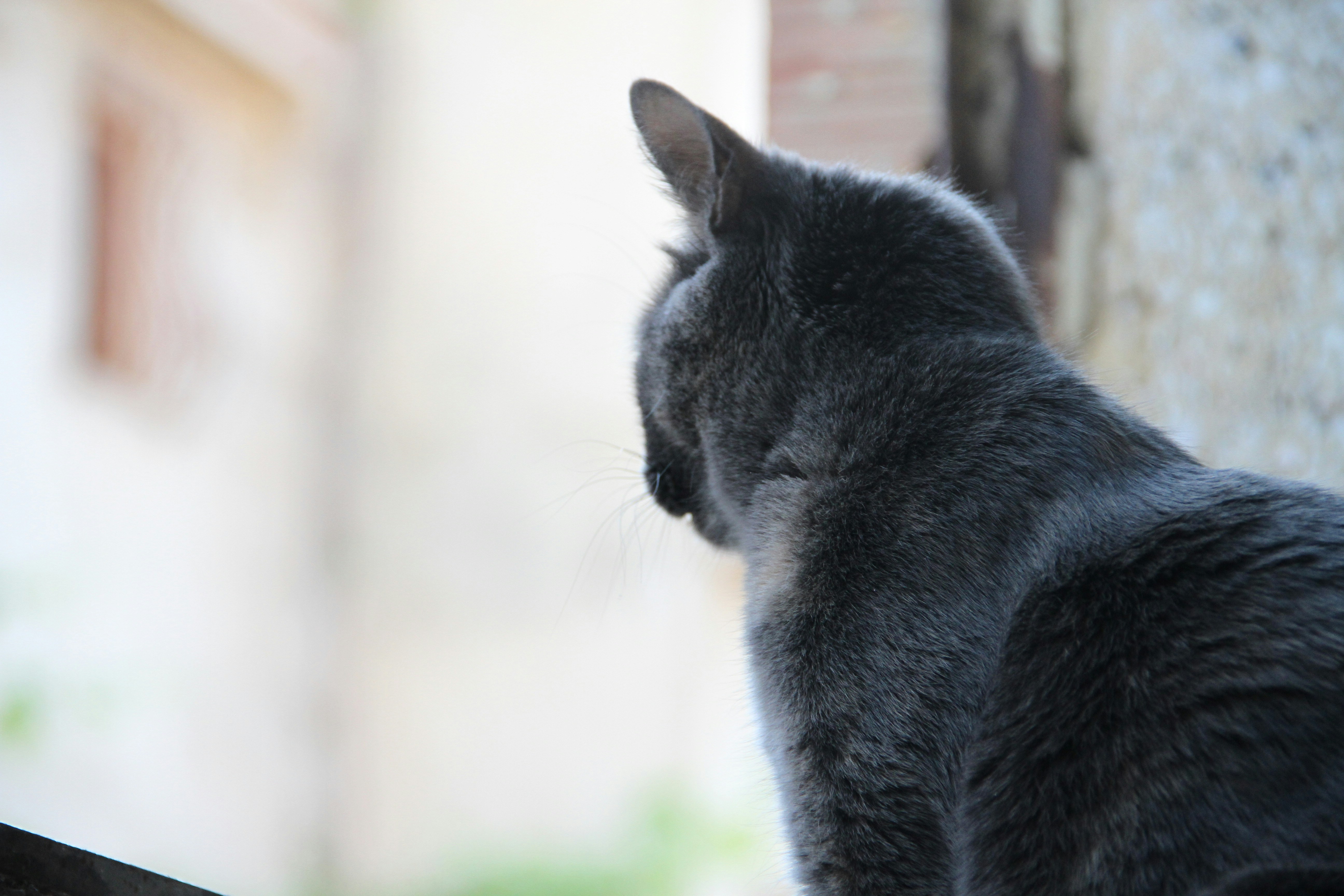 Photo by eosphotography