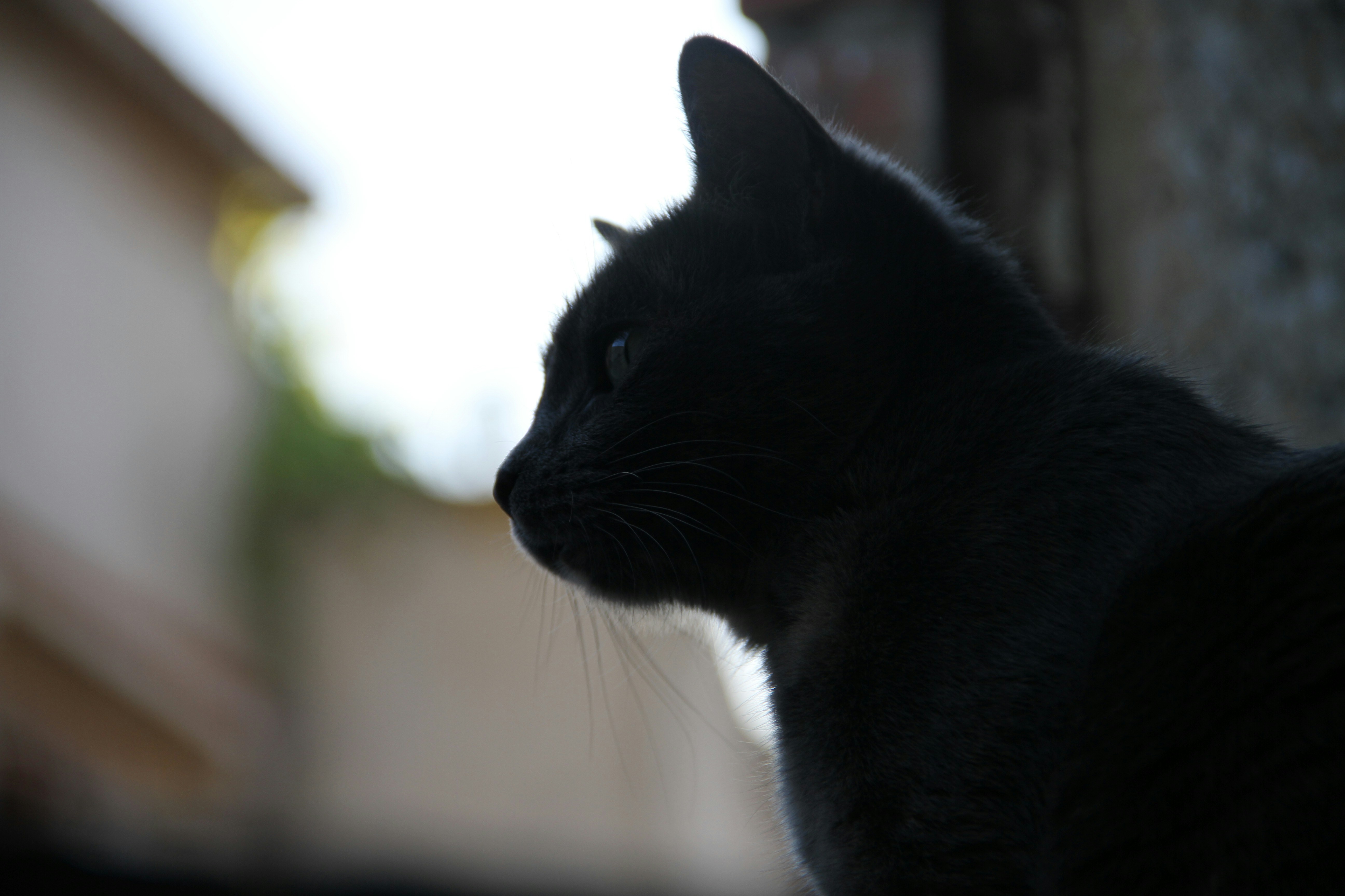 Photo by eosphotography